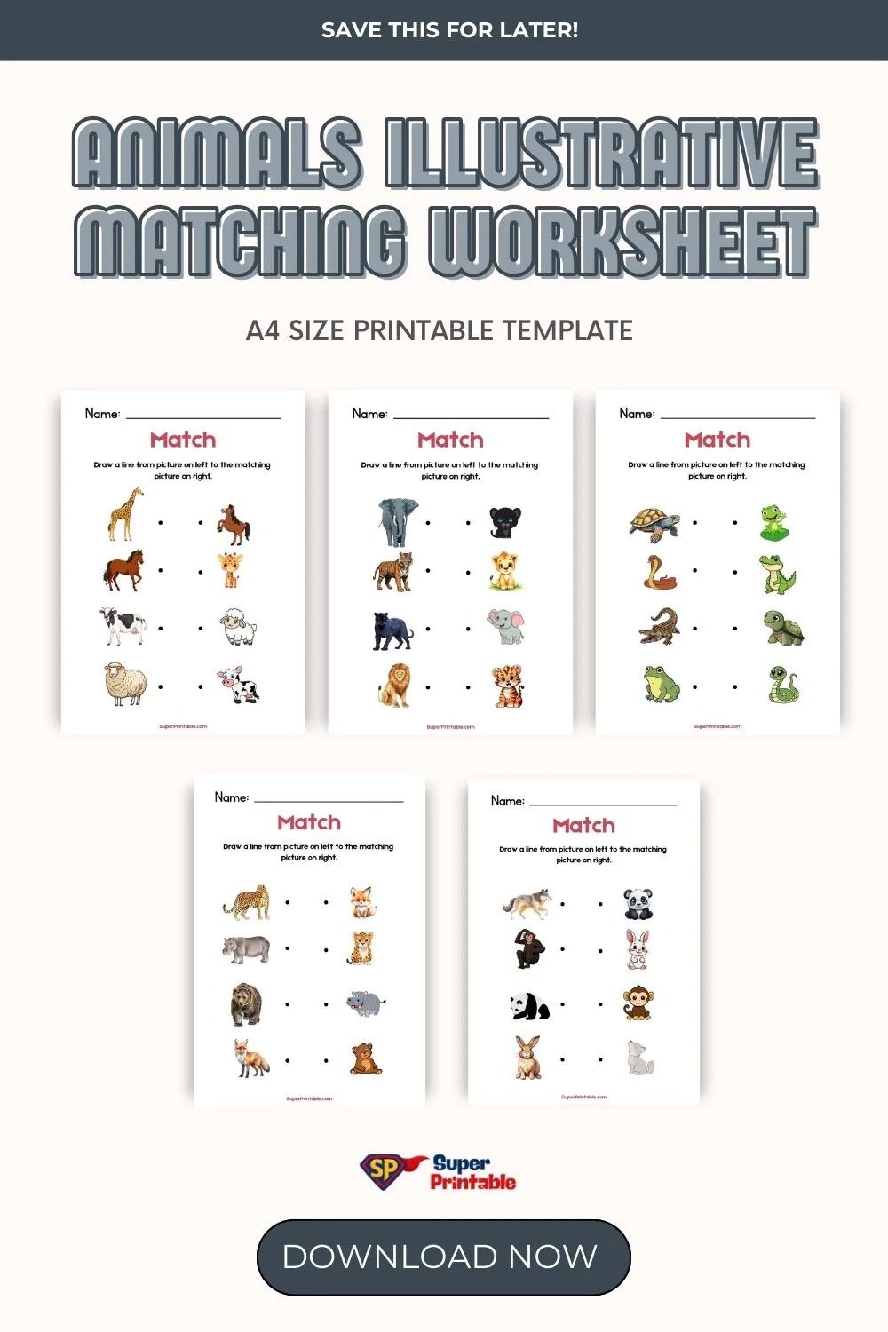 Animals Illustrative Matching Worksheet Pinterest Image