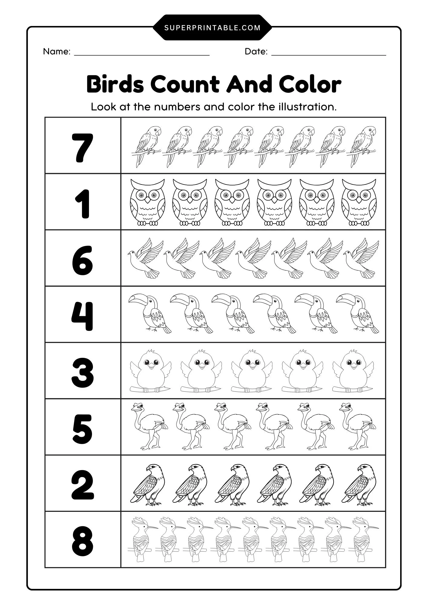 Birds Count & Color Activity Coloring Worksheet 1