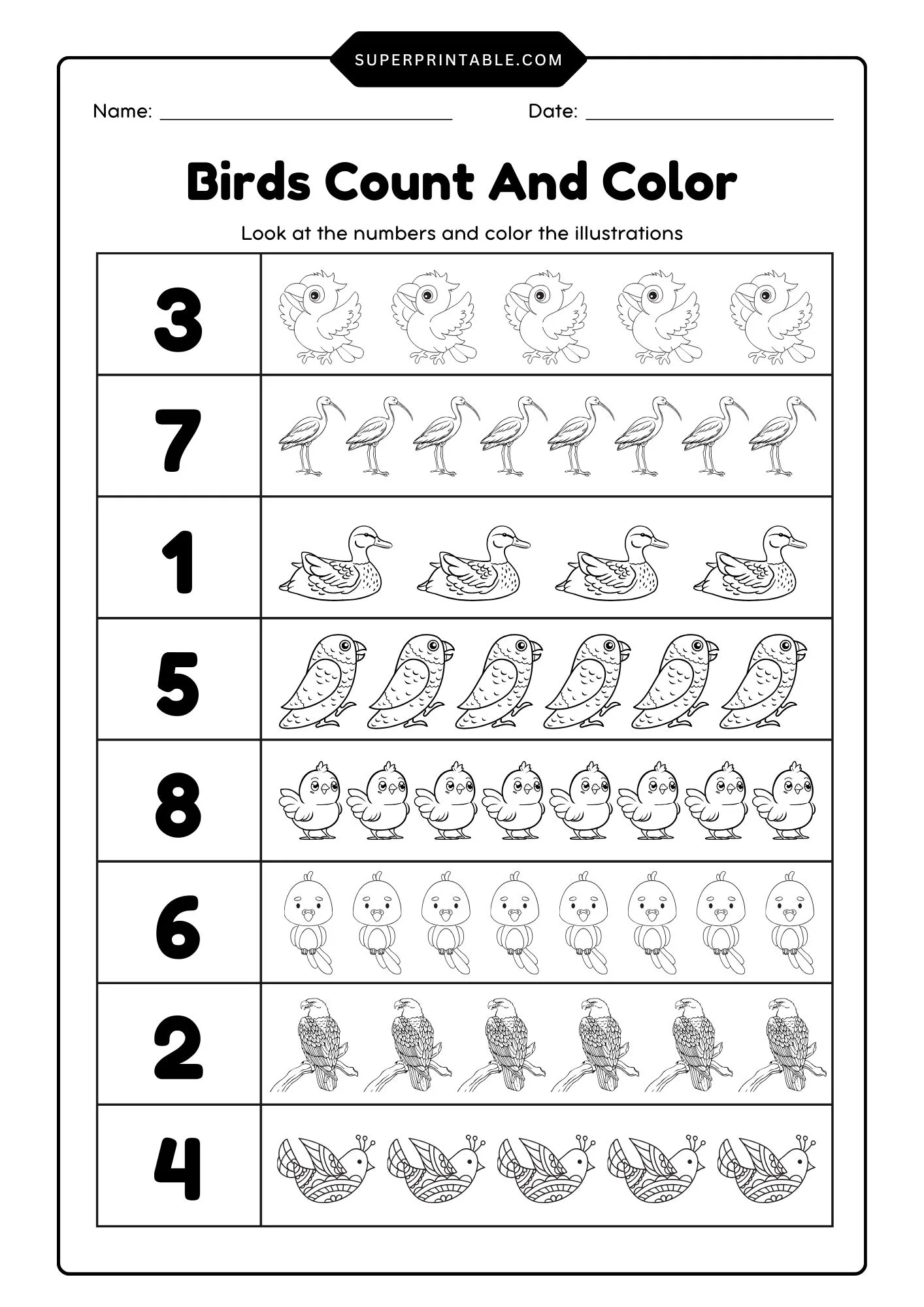Birds Count & Color Activity Coloring Worksheet 2
