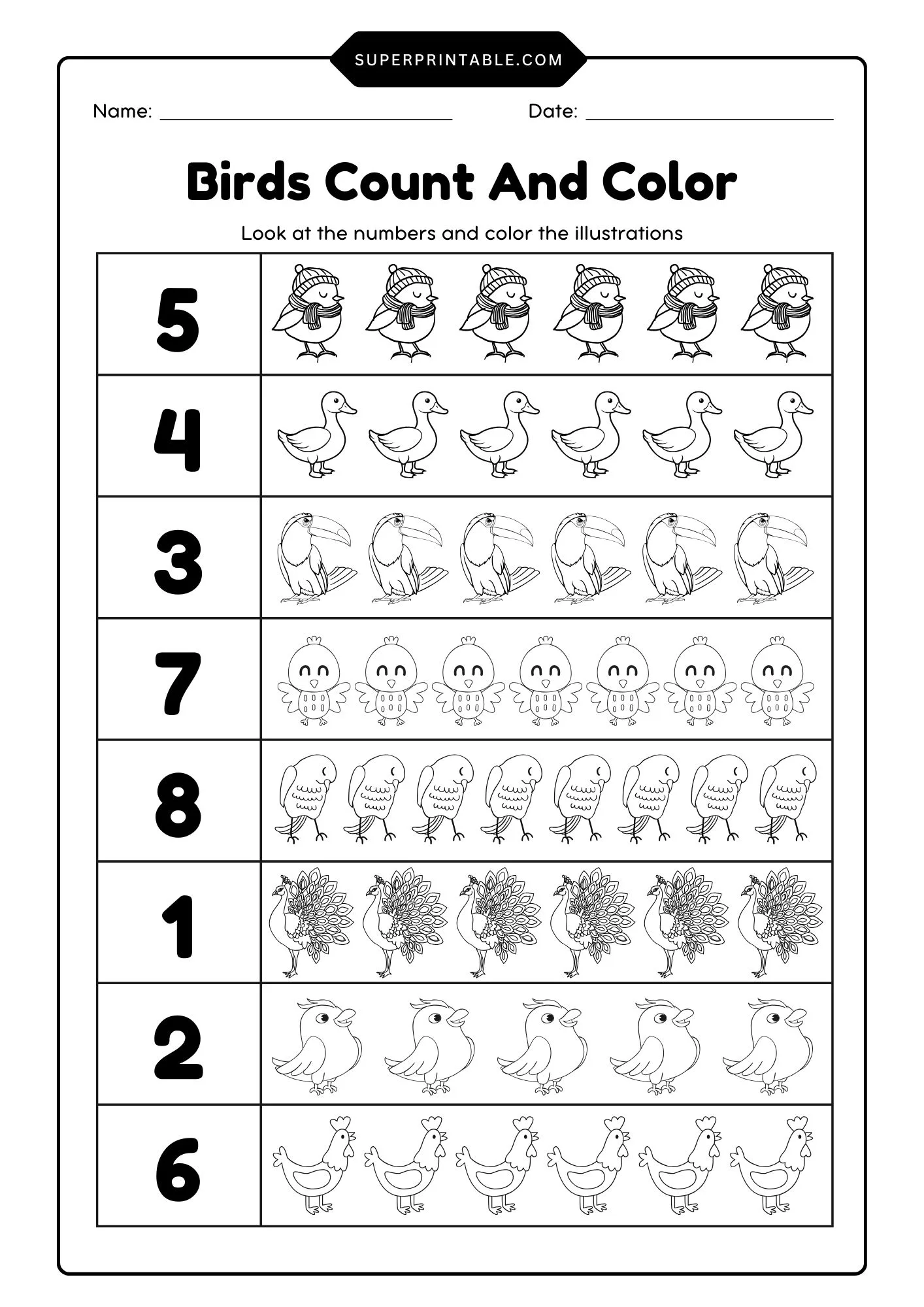 Birds Count & Color Activity Coloring Worksheet 3