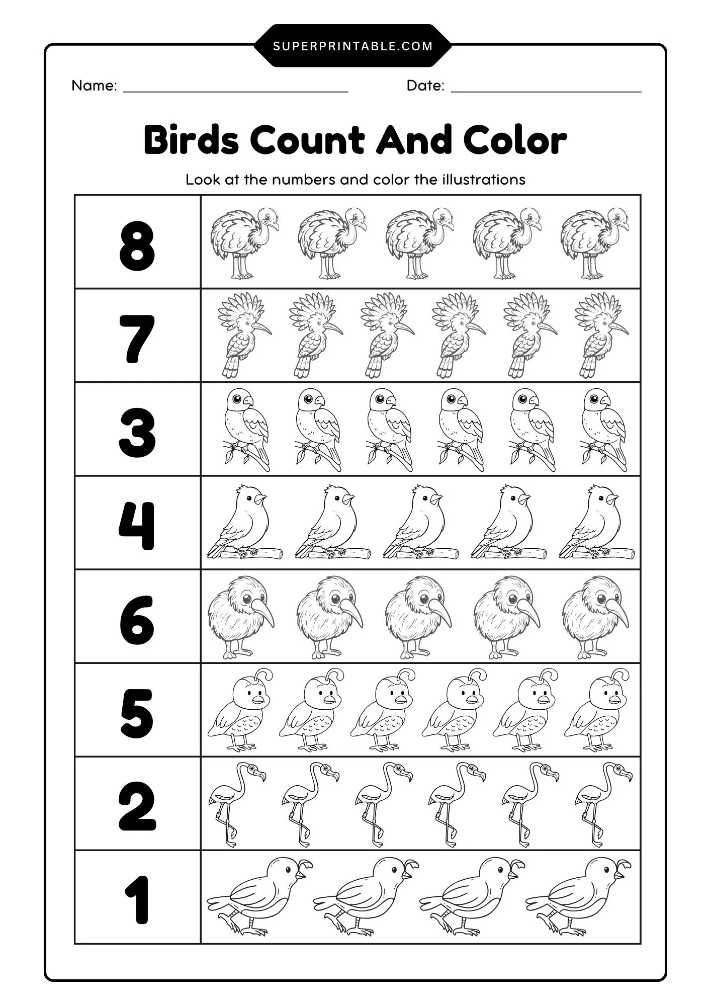 Birds Count & Color Activity Coloring Worksheet 5