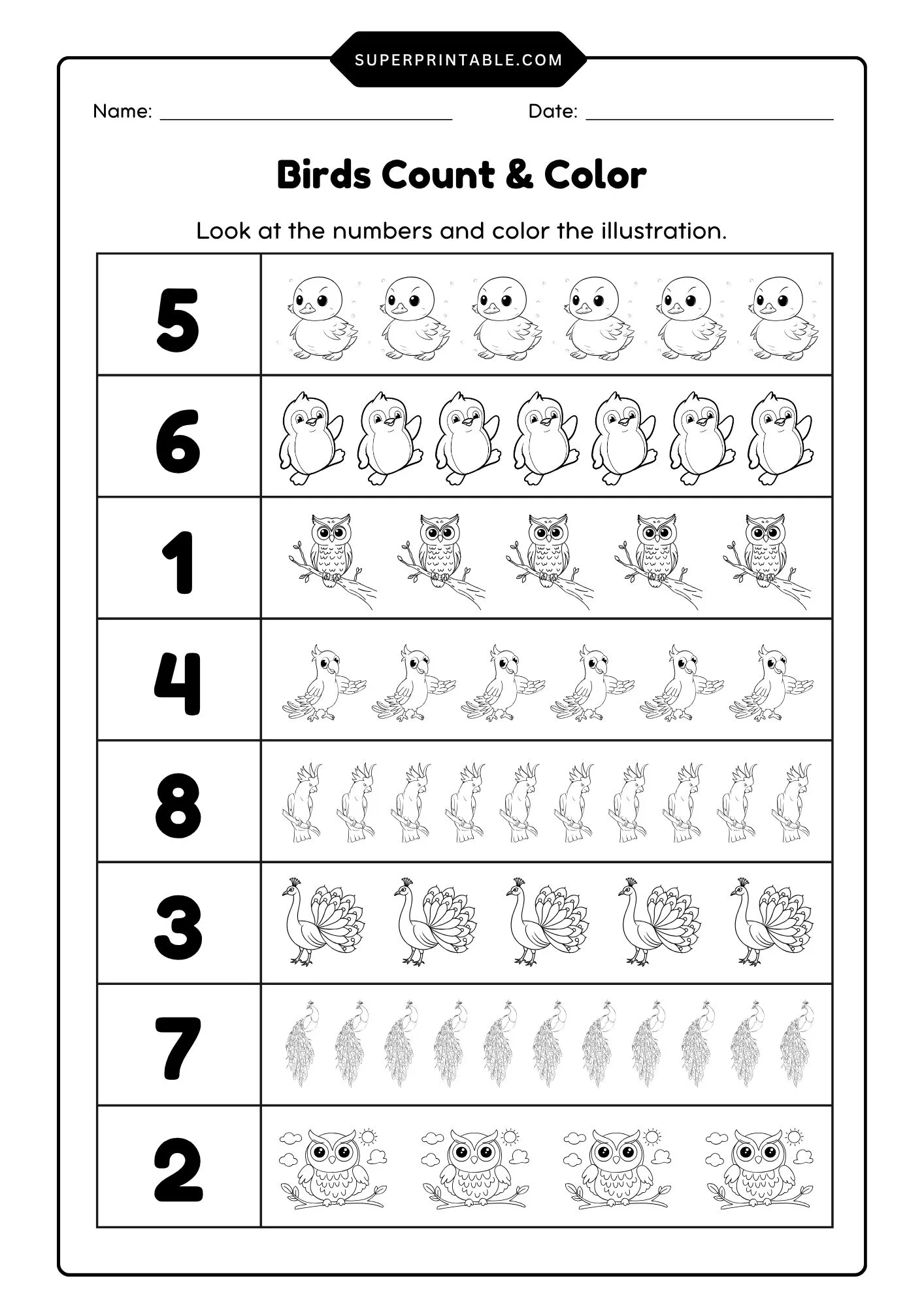 Birds Count & Color Activity Coloring Worksheet 8