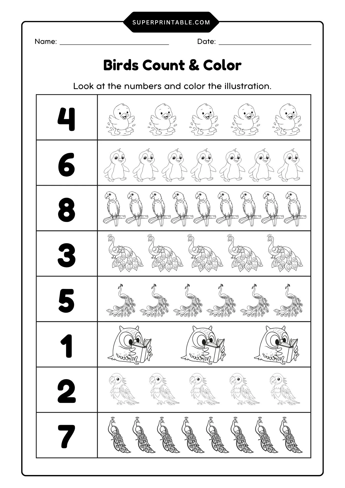 Birds Count & Color Activity Coloring Worksheet 9