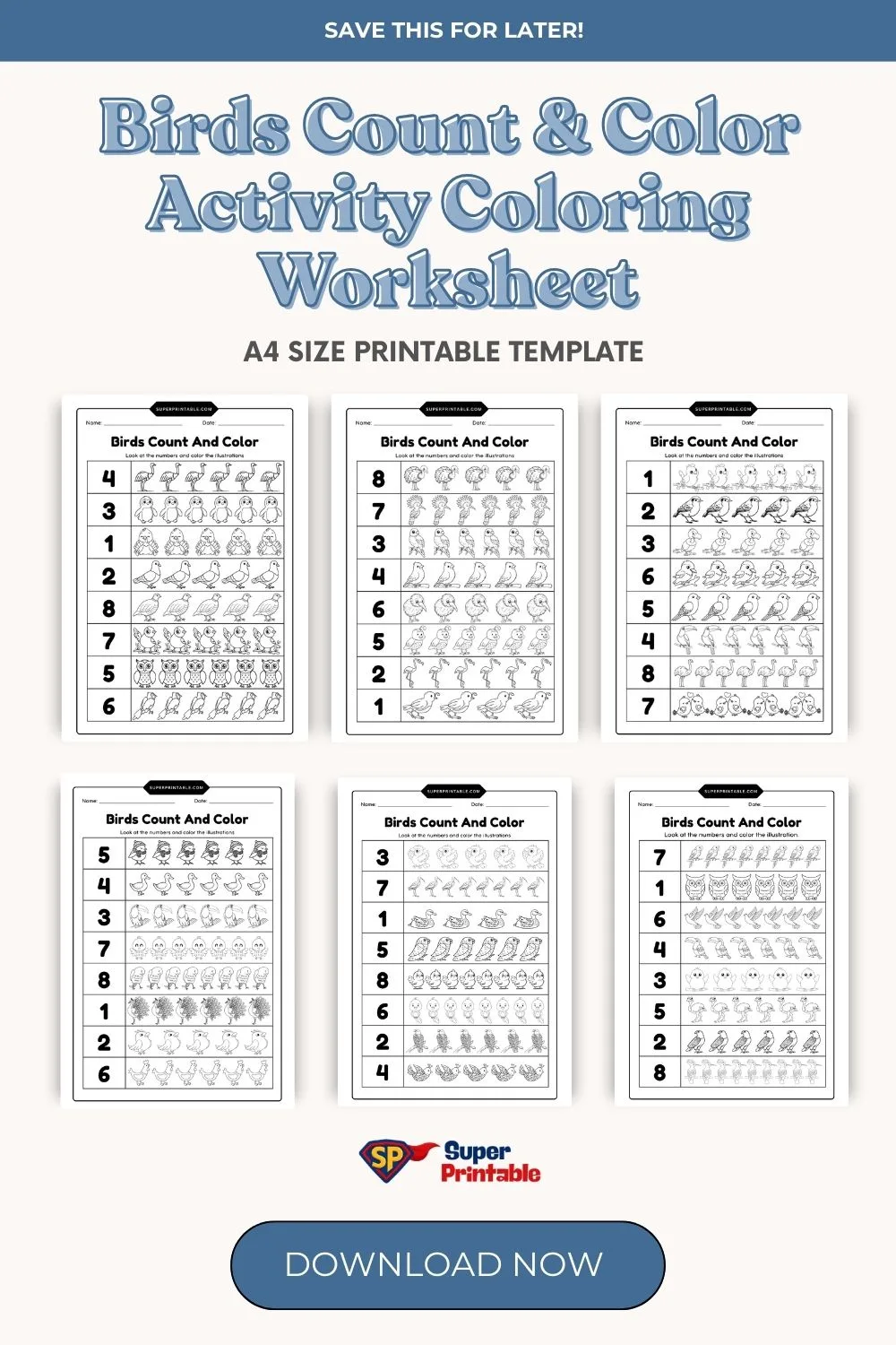 Birds Count & Color Activity Coloring Worksheet Pinterest Image