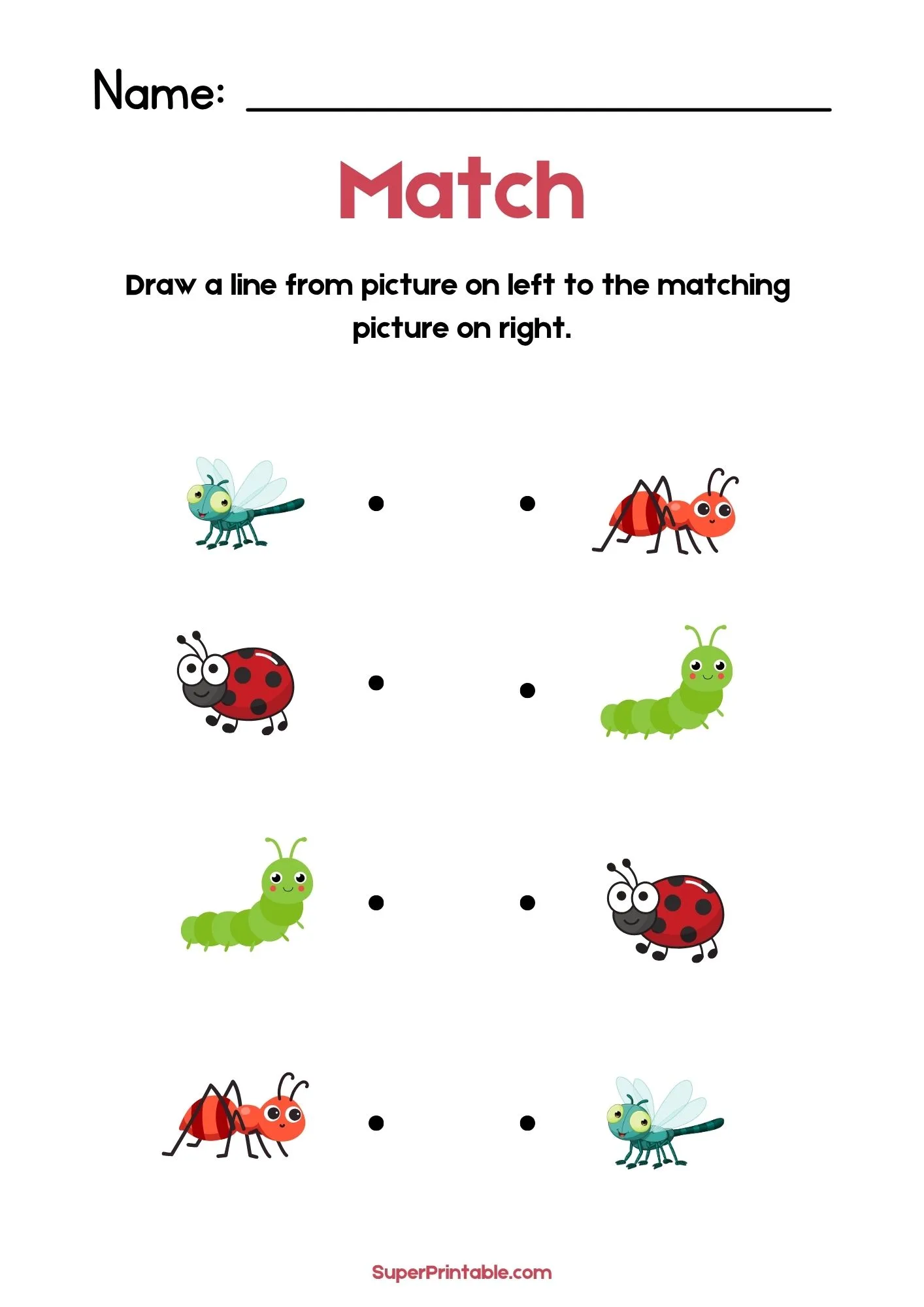 Insects Illustrative Matching Worksheet 1