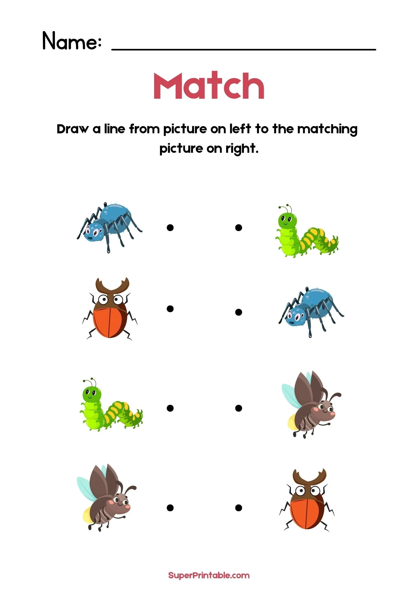 Insects Illustrative Matching Worksheet 2