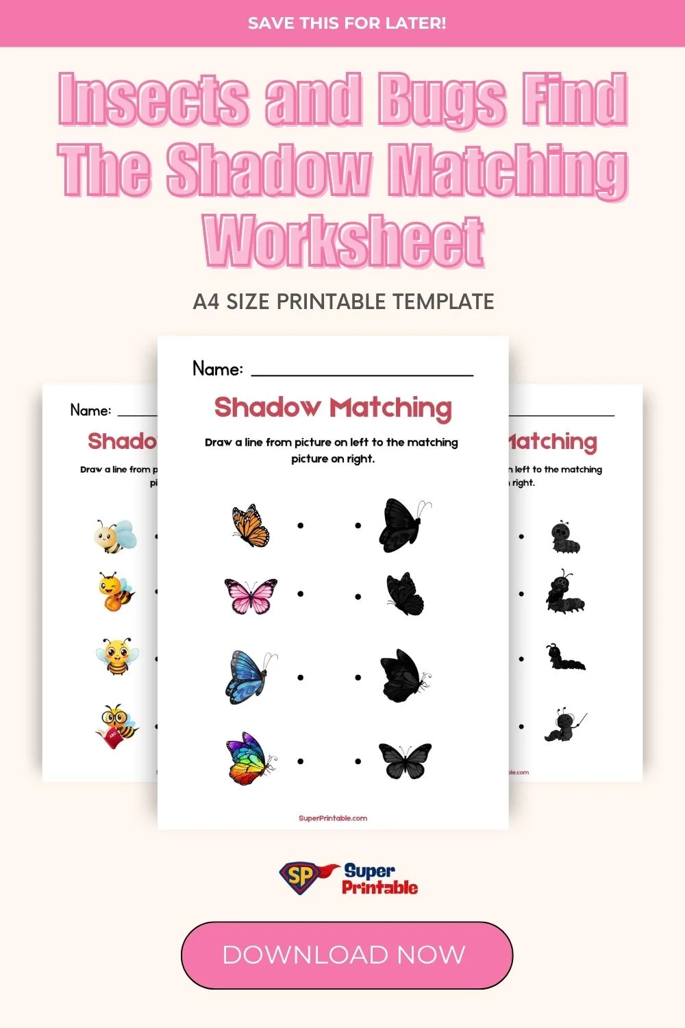 Insects and Bugs Find The Shadow Matching Worksheet Pinterest Image