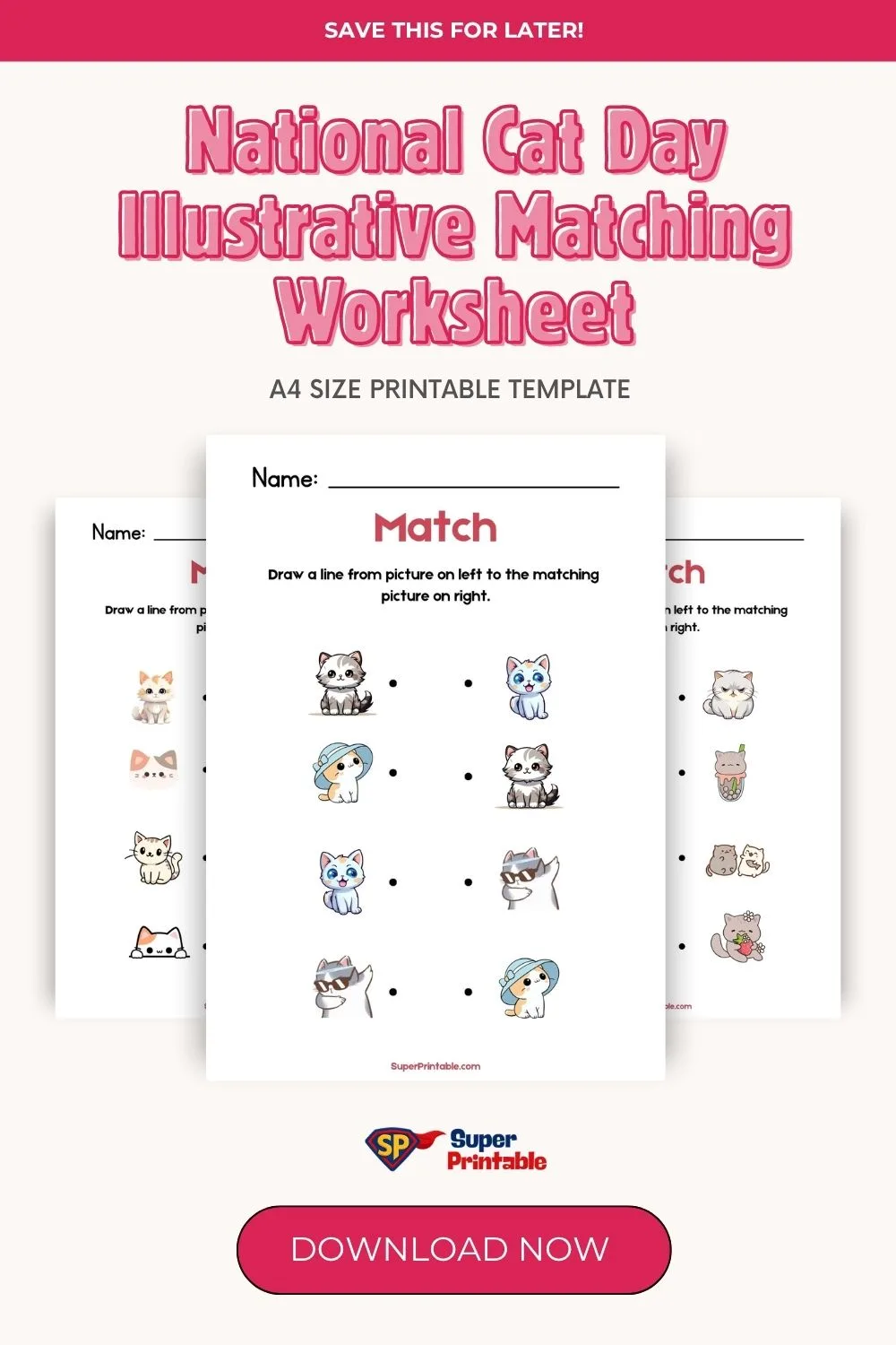 National Cat Day Illustrative Matching Worksheet Pinterest Image
