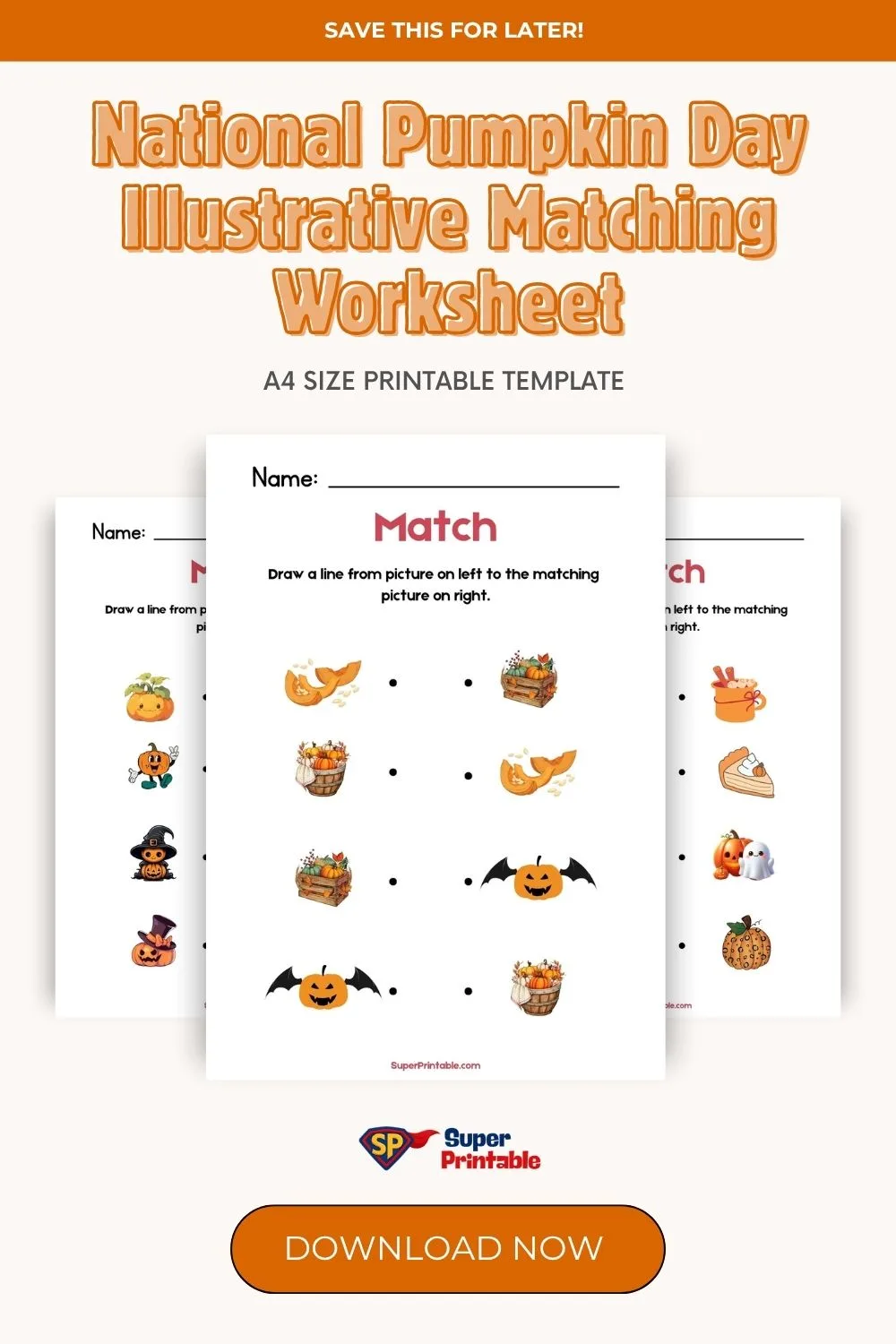 National Pumpkin Day Illustrative Matching Worksheet Pinterest Image