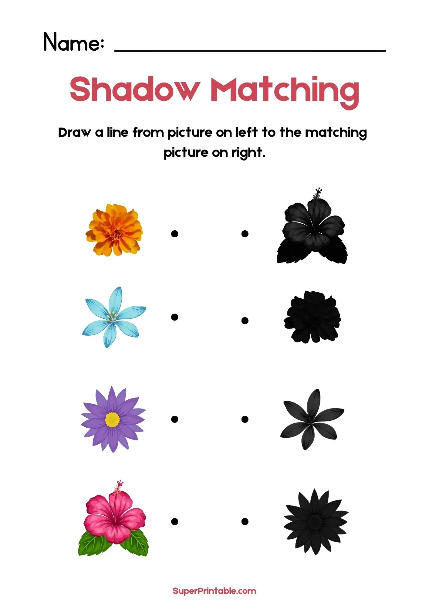 Nature Find The Shadow Matching Worksheet 2