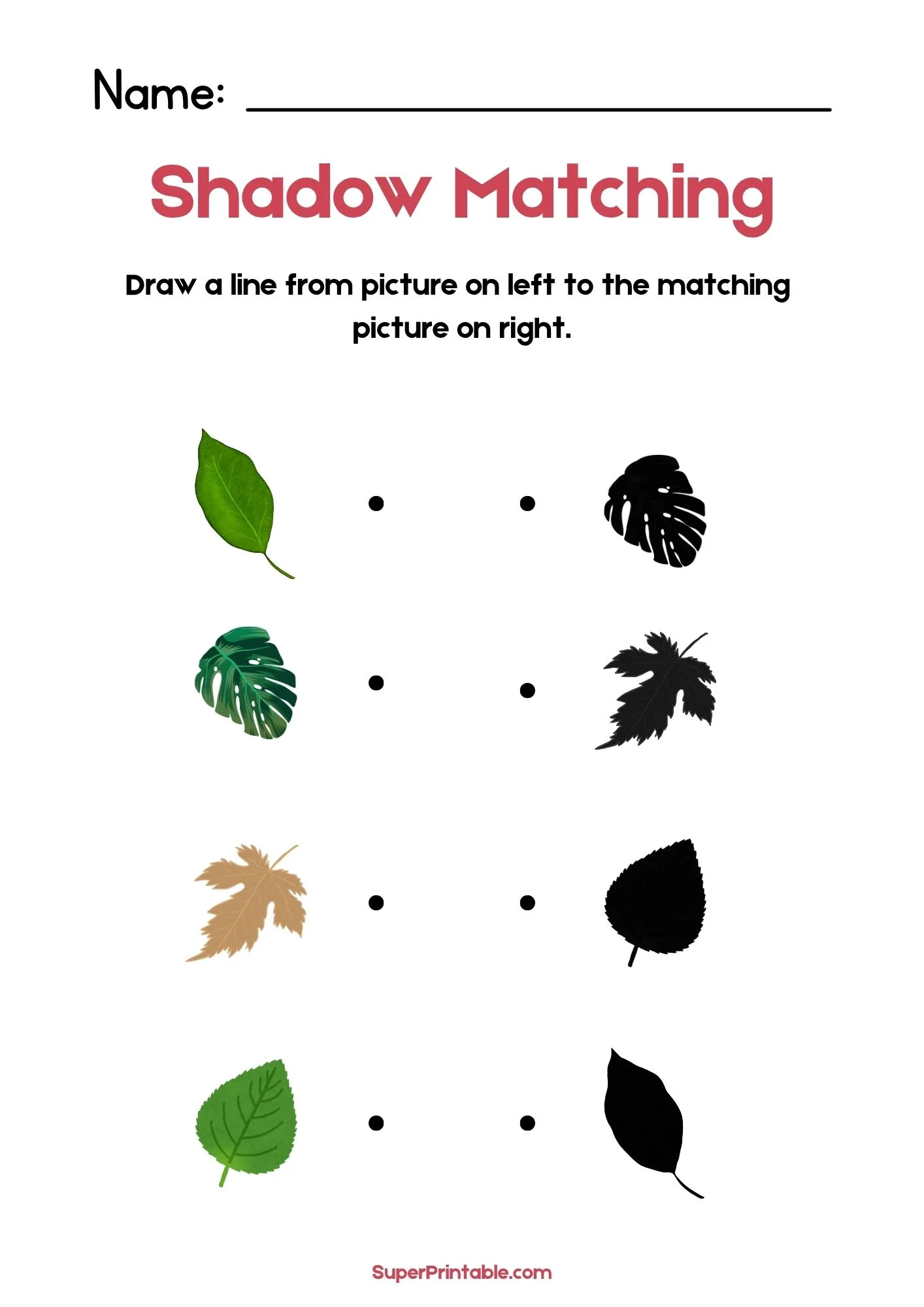 Nature Find The Shadow Matching Worksheet 3