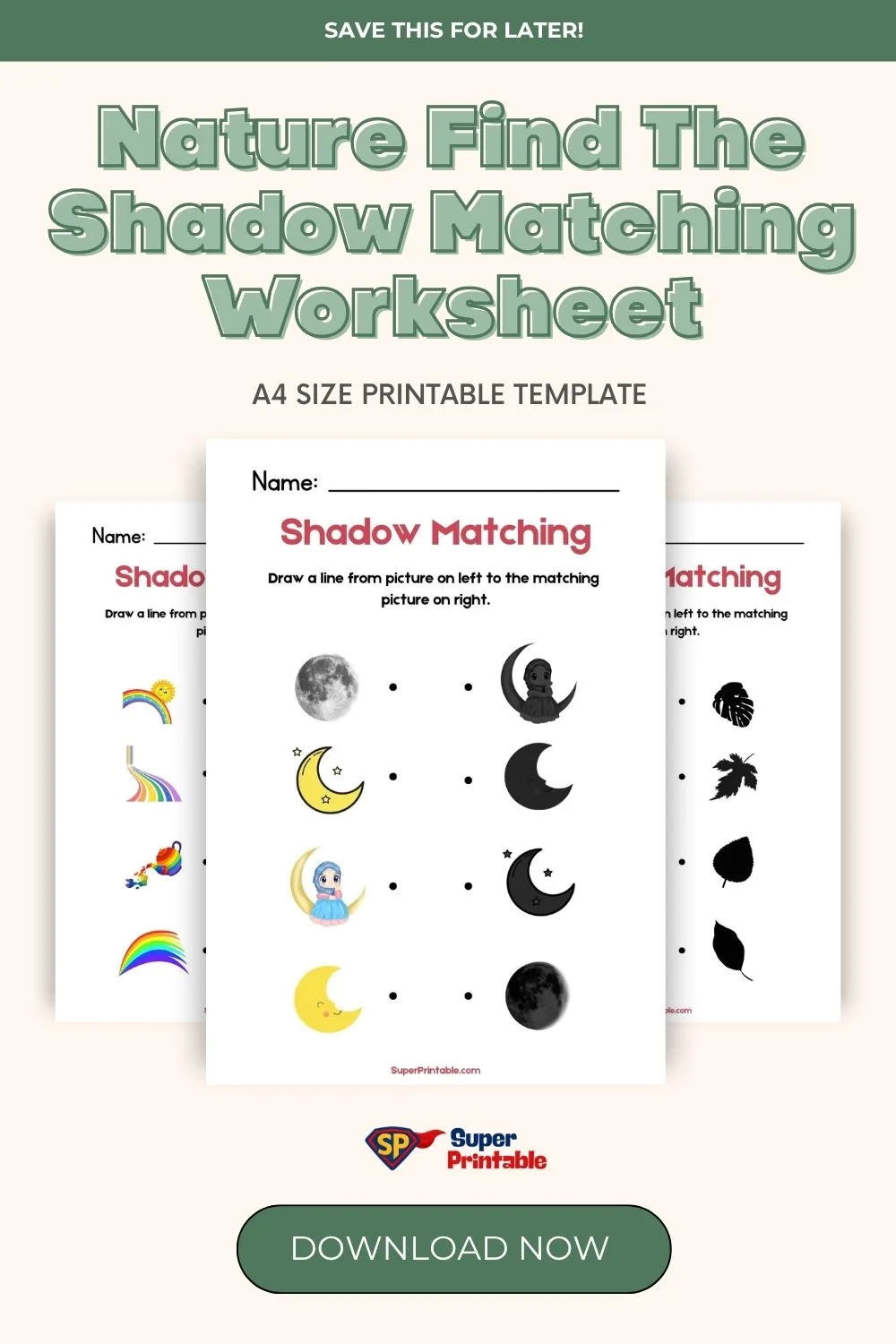 Nature Find The Shadow Matching Worksheet Pinterest Image