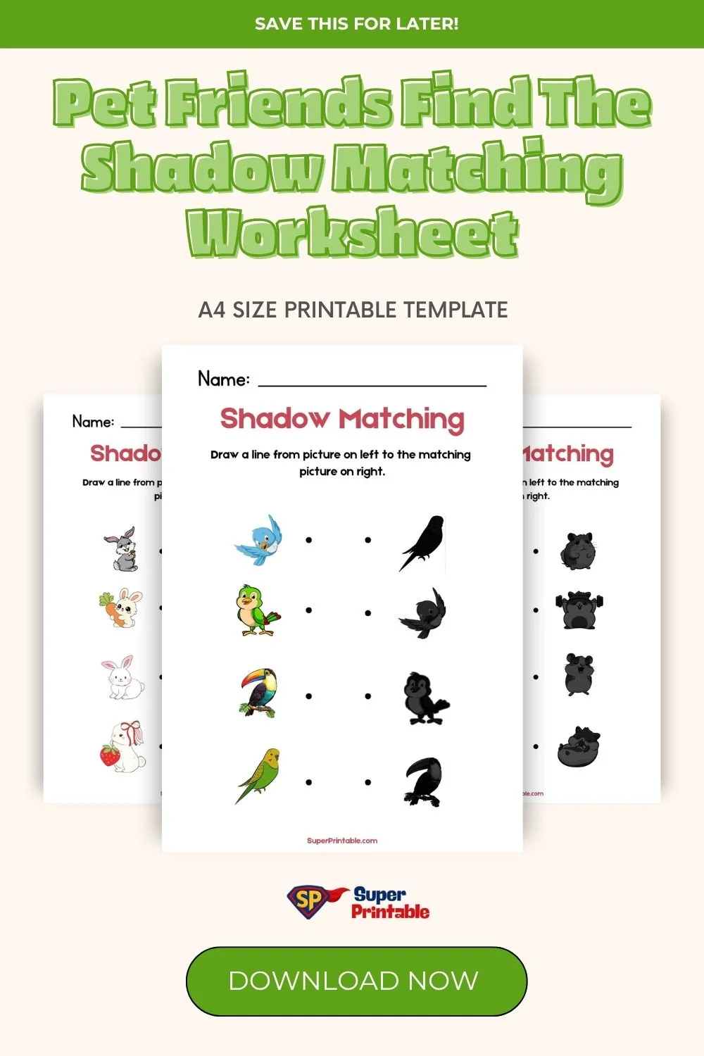 Pet Friends Find The Shadow Matching Worksheet Pinterest Image
