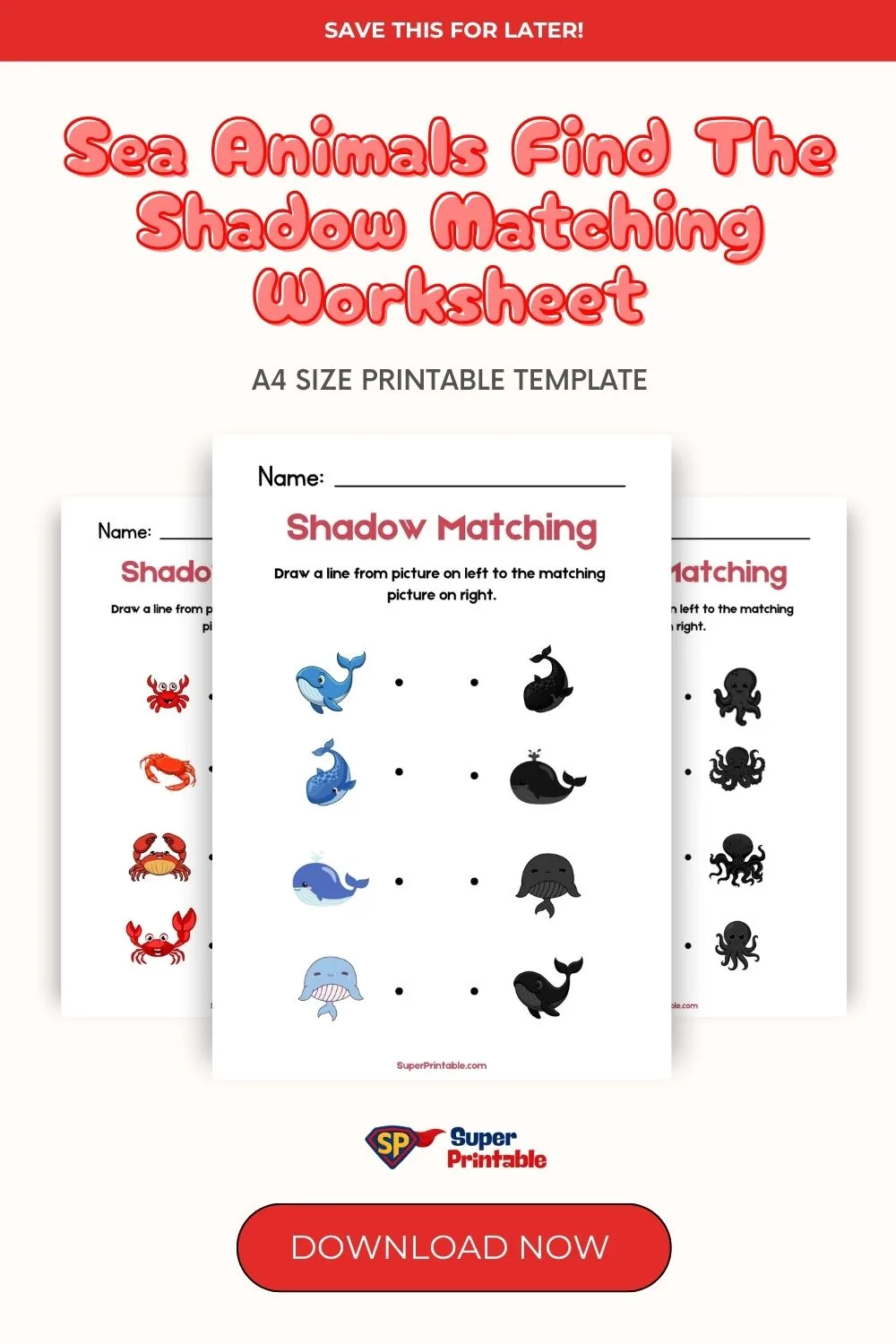 Sea Animals Find The Shadow Matching Worksheet Pinterest Image