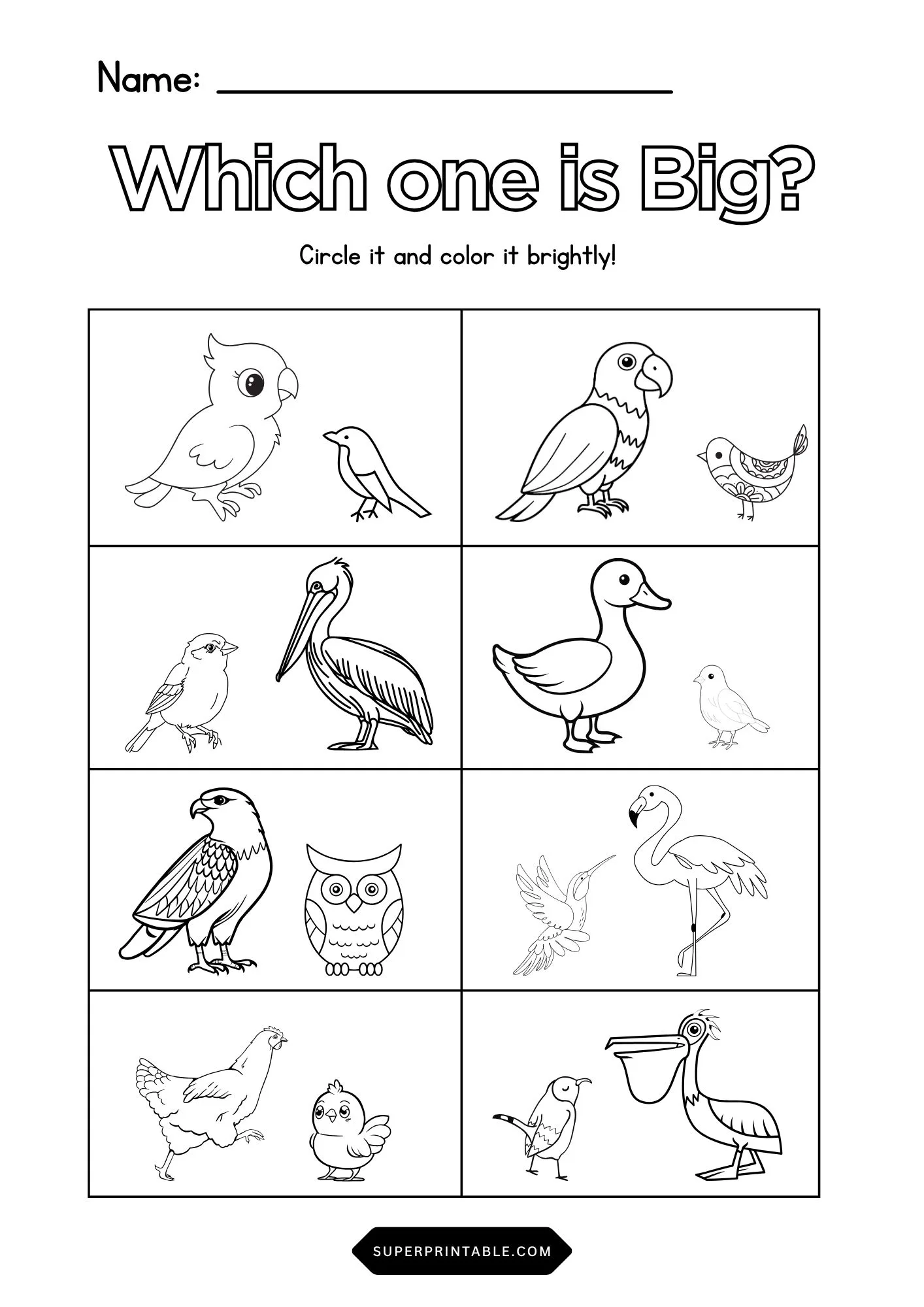 Birds Which one is Big