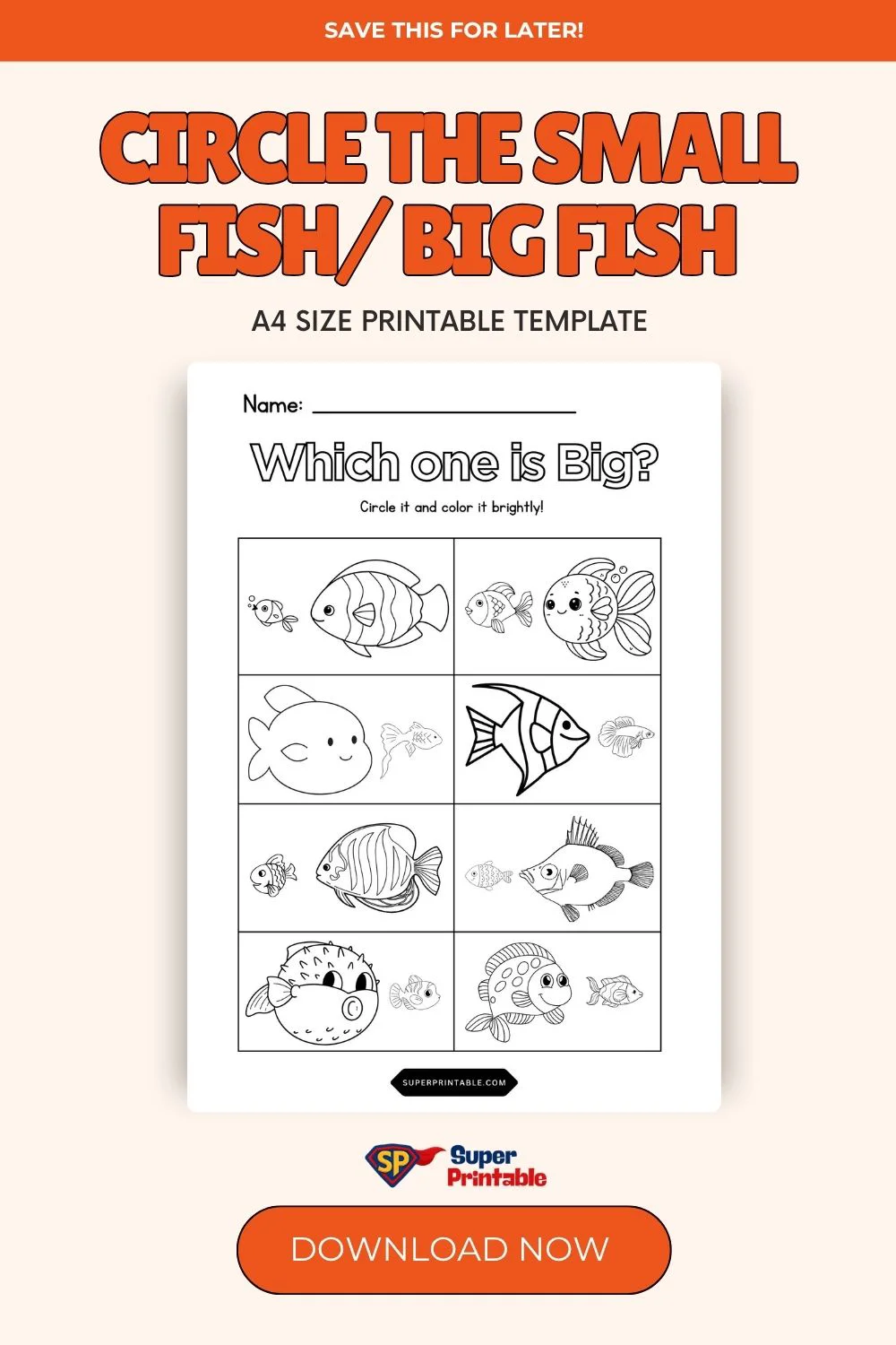Circle the Small Fish Big Fish Pinterest Image