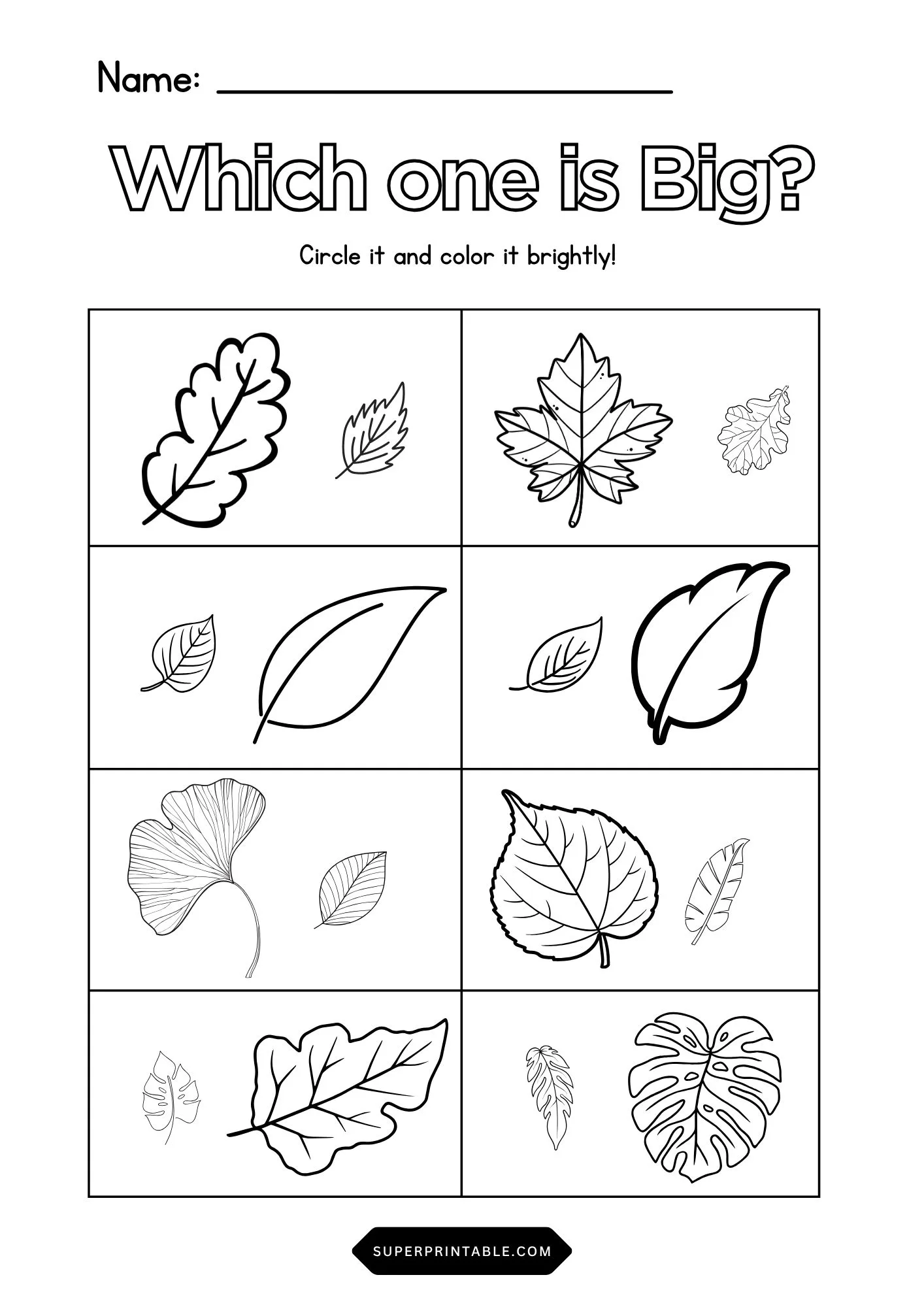 Find the Big Leaf