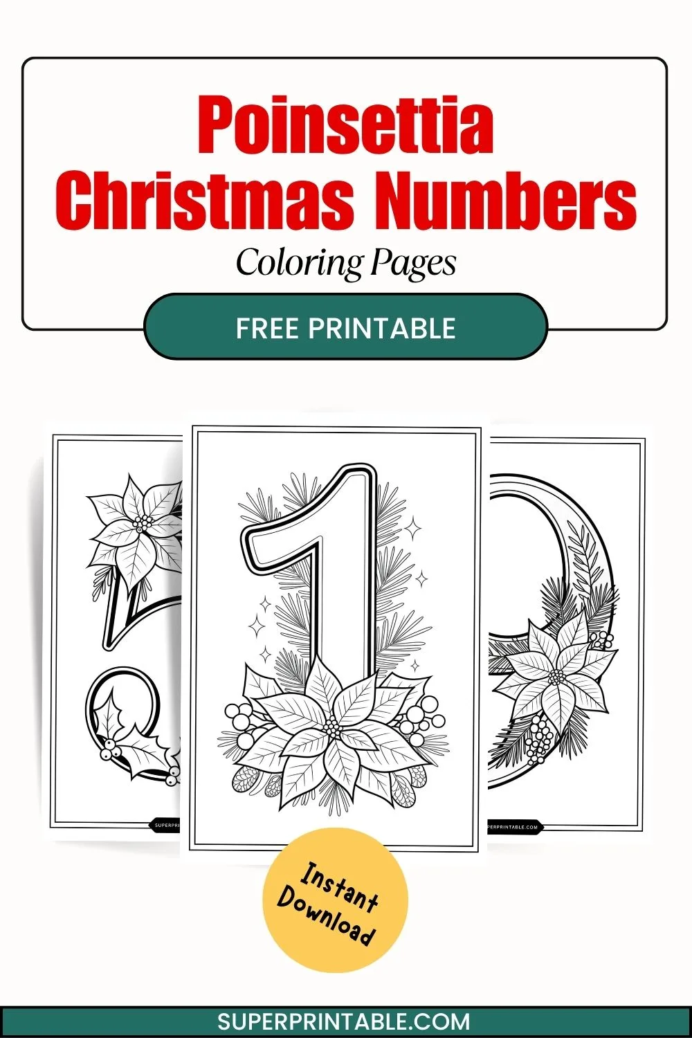 Poinsettia Christmas Numbers Coloring Pages Pinterest Image