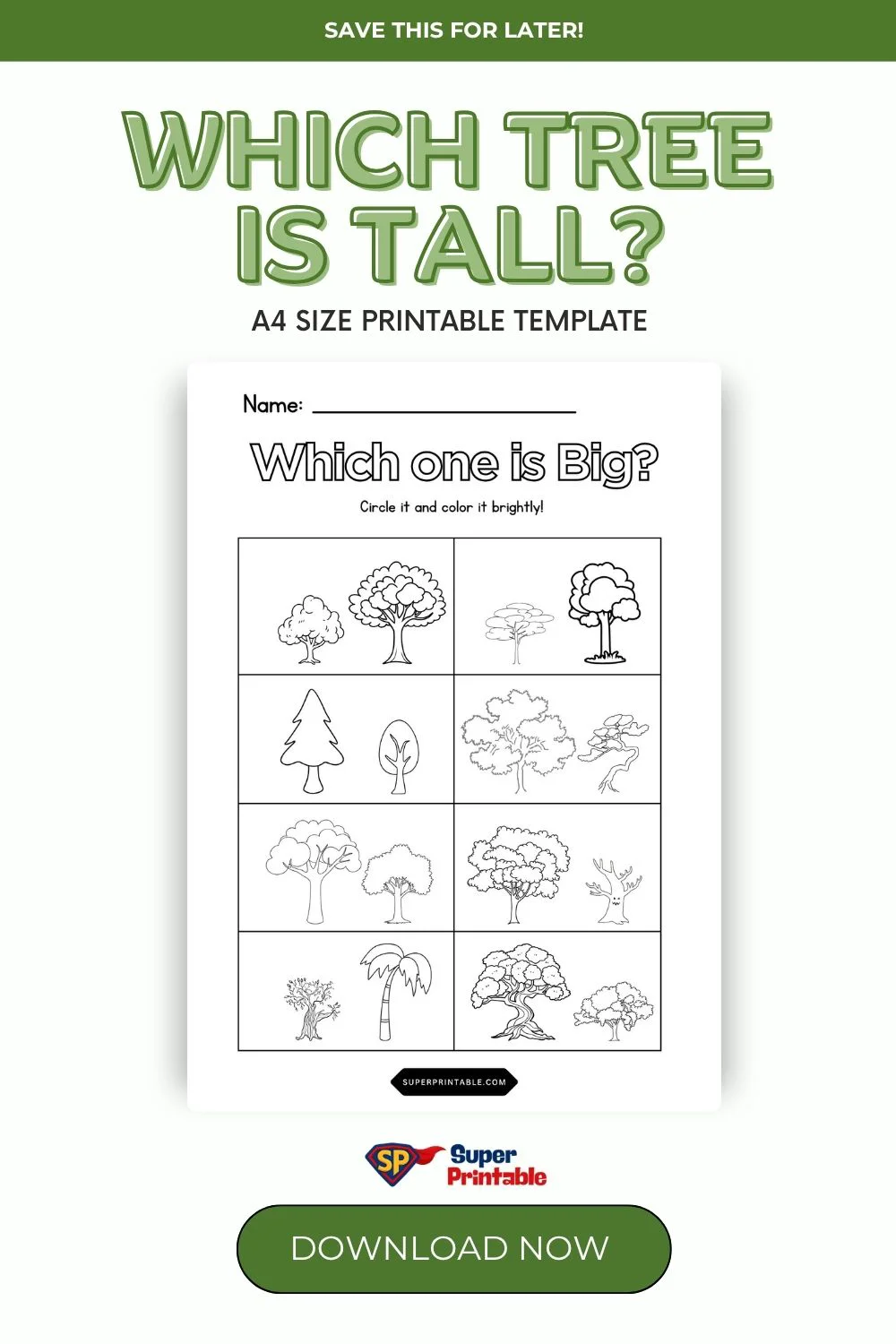 Which Tree Is Tall Pinterest Image