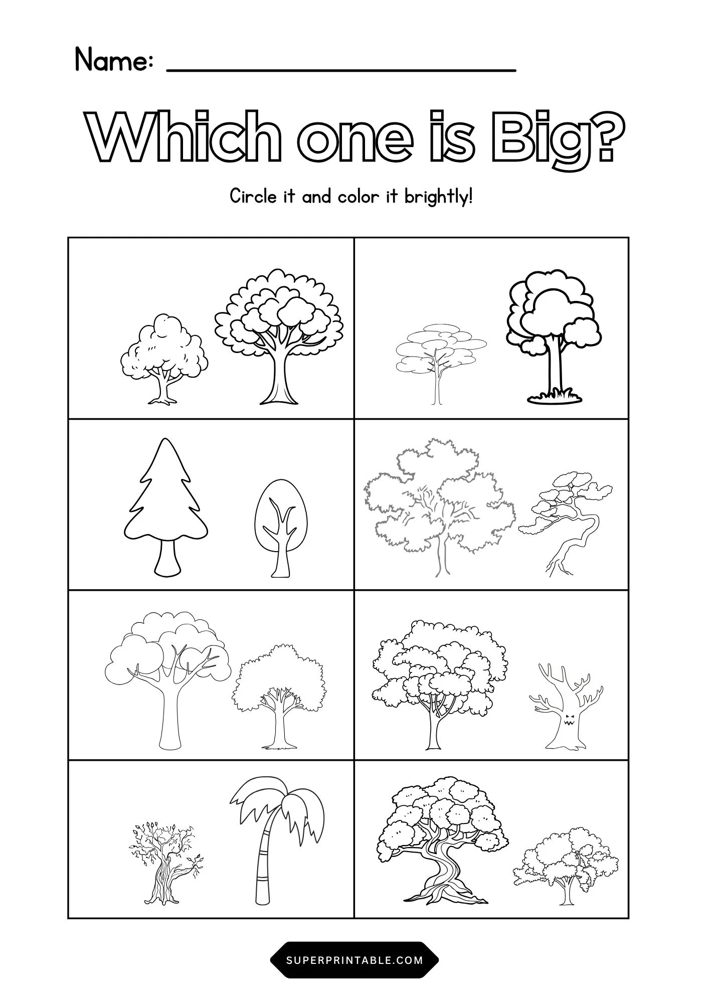 Which Tree Is Tall