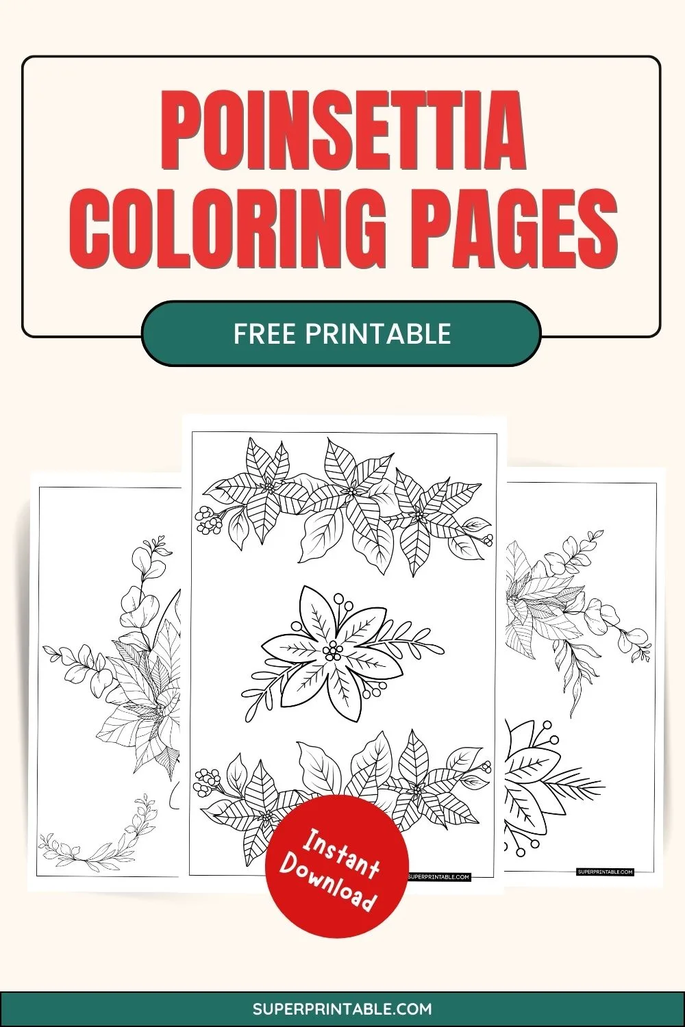 20 Poinsettia Coloring Pages Pinterest Image