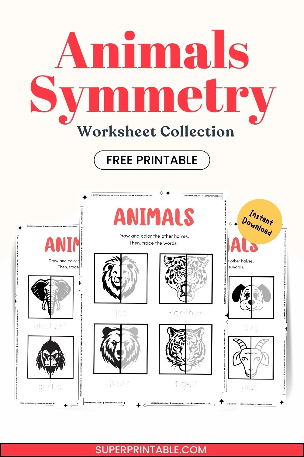 Animals Symmetry Worksheet Pinterest Image