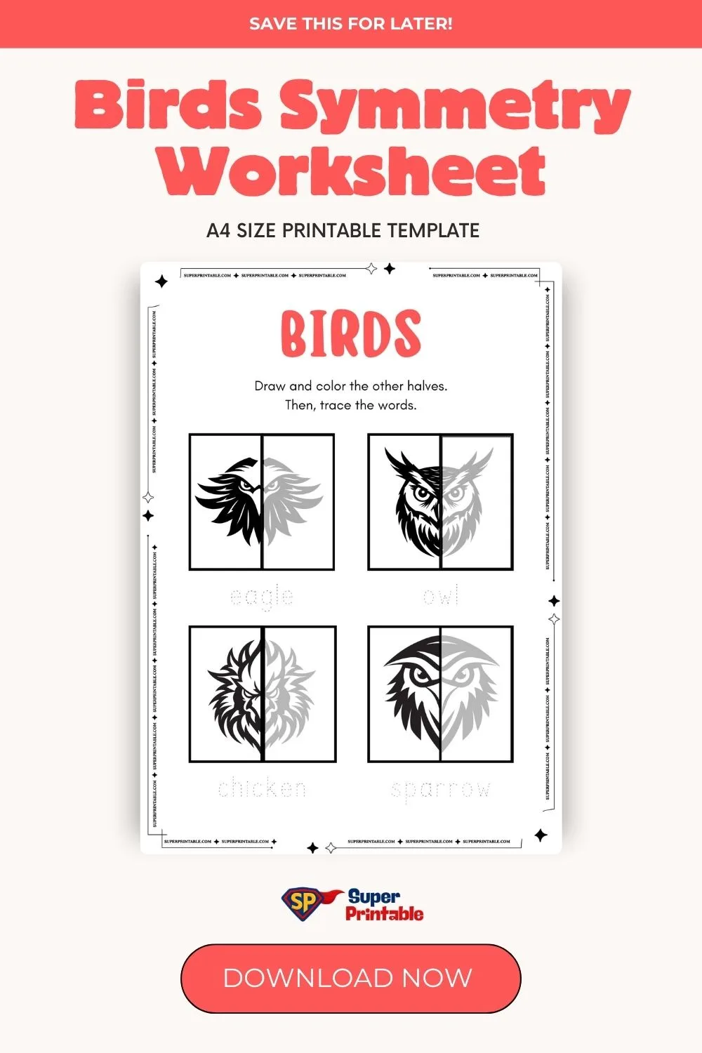 Birds Symmetry Worksheet Pinterest Image