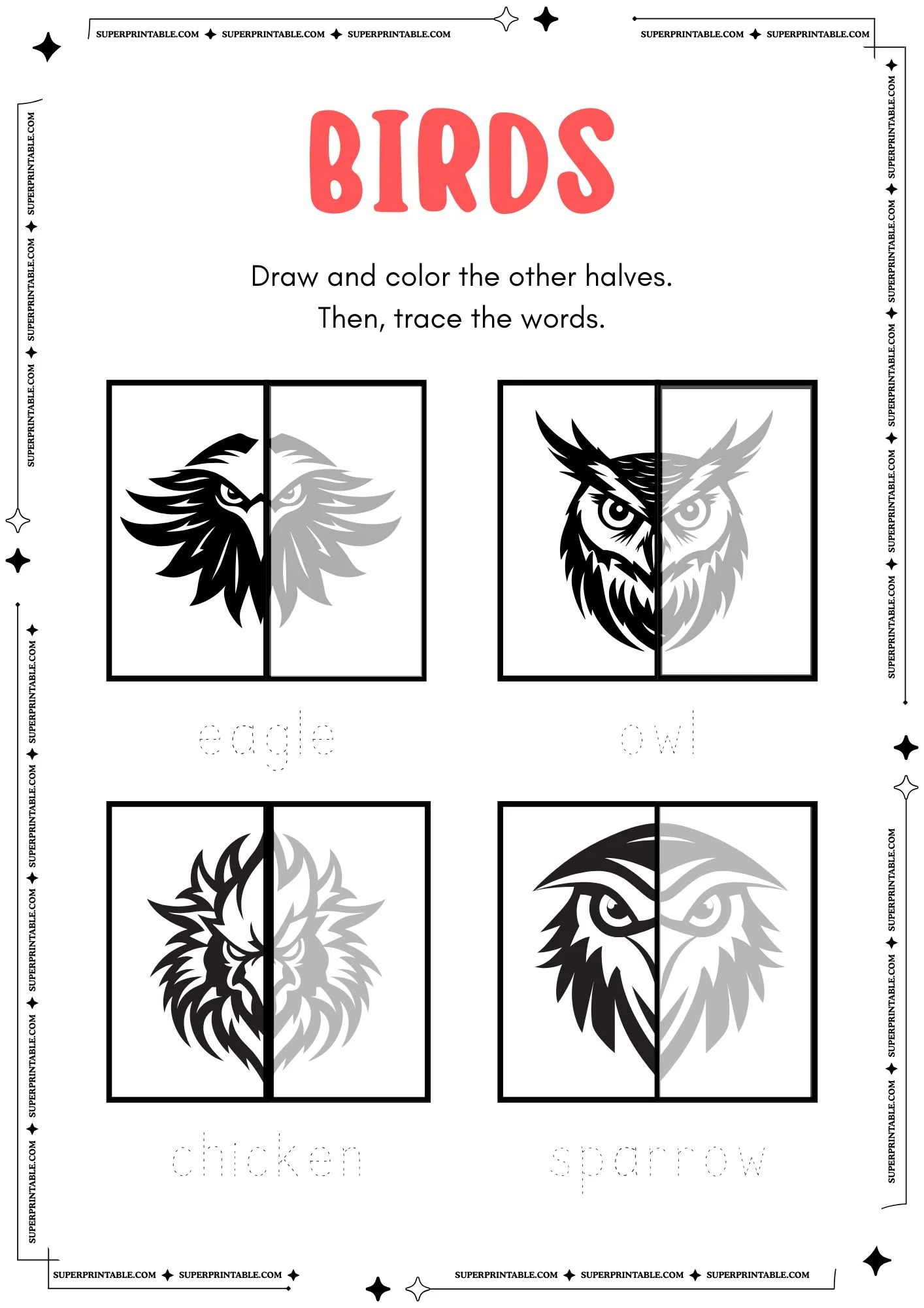 Birds Symmetry Worksheet