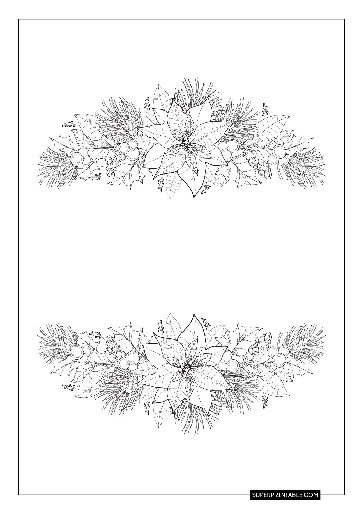 Poinsettia Coloring Pages 1