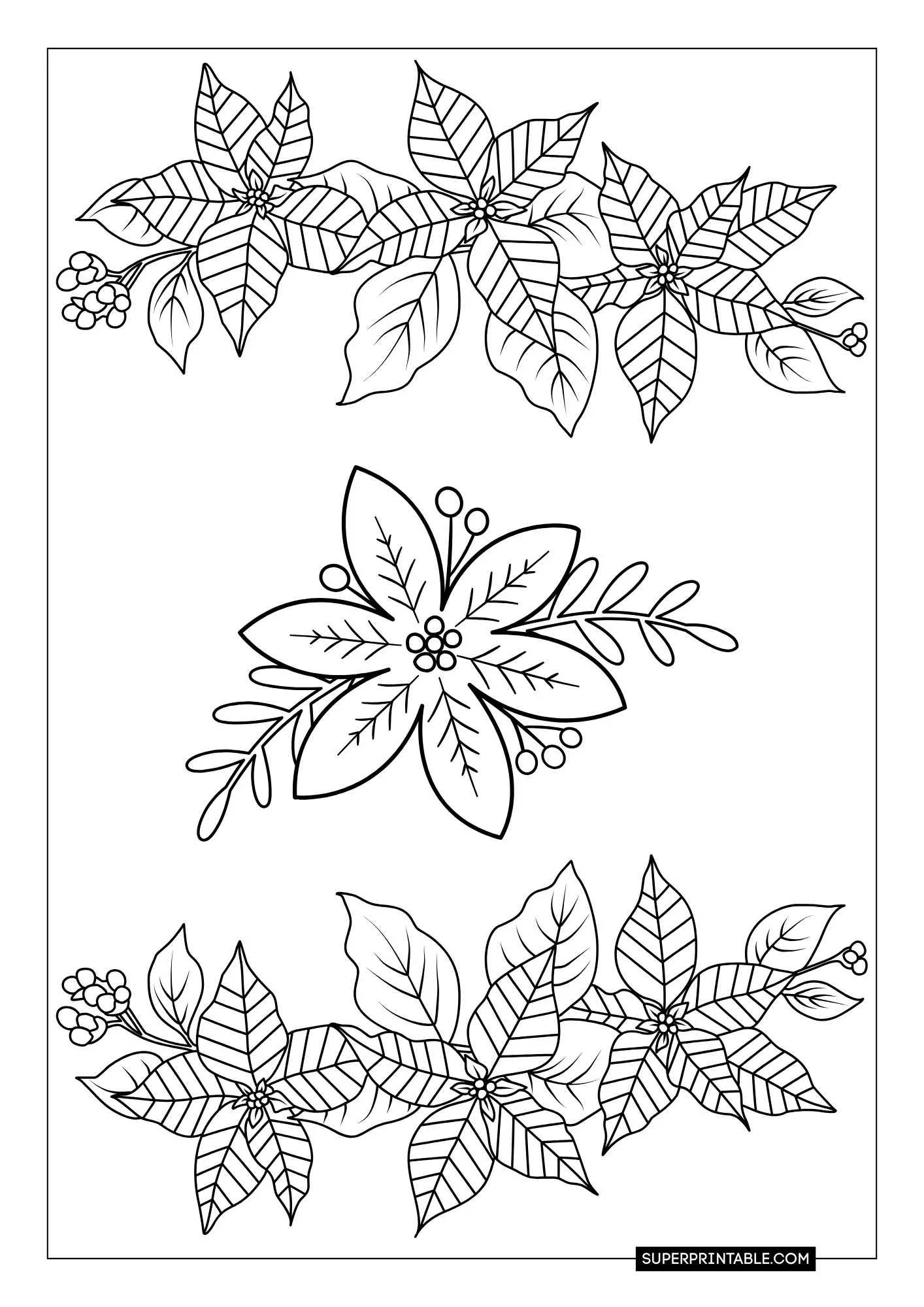 Poinsettia Coloring Pages 10