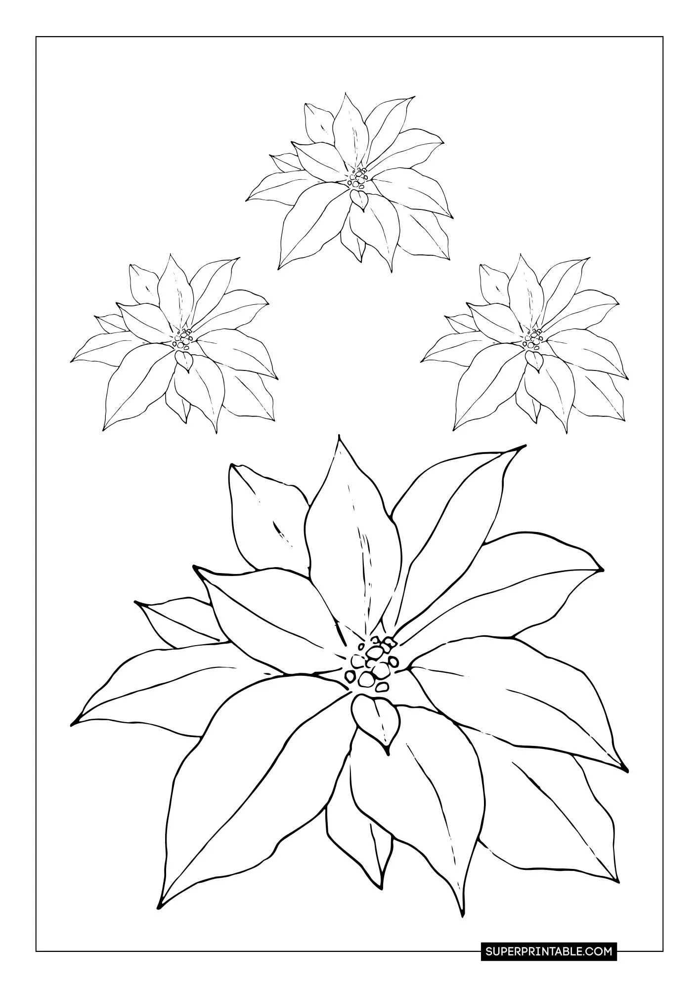 Poinsettia Coloring Pages 8