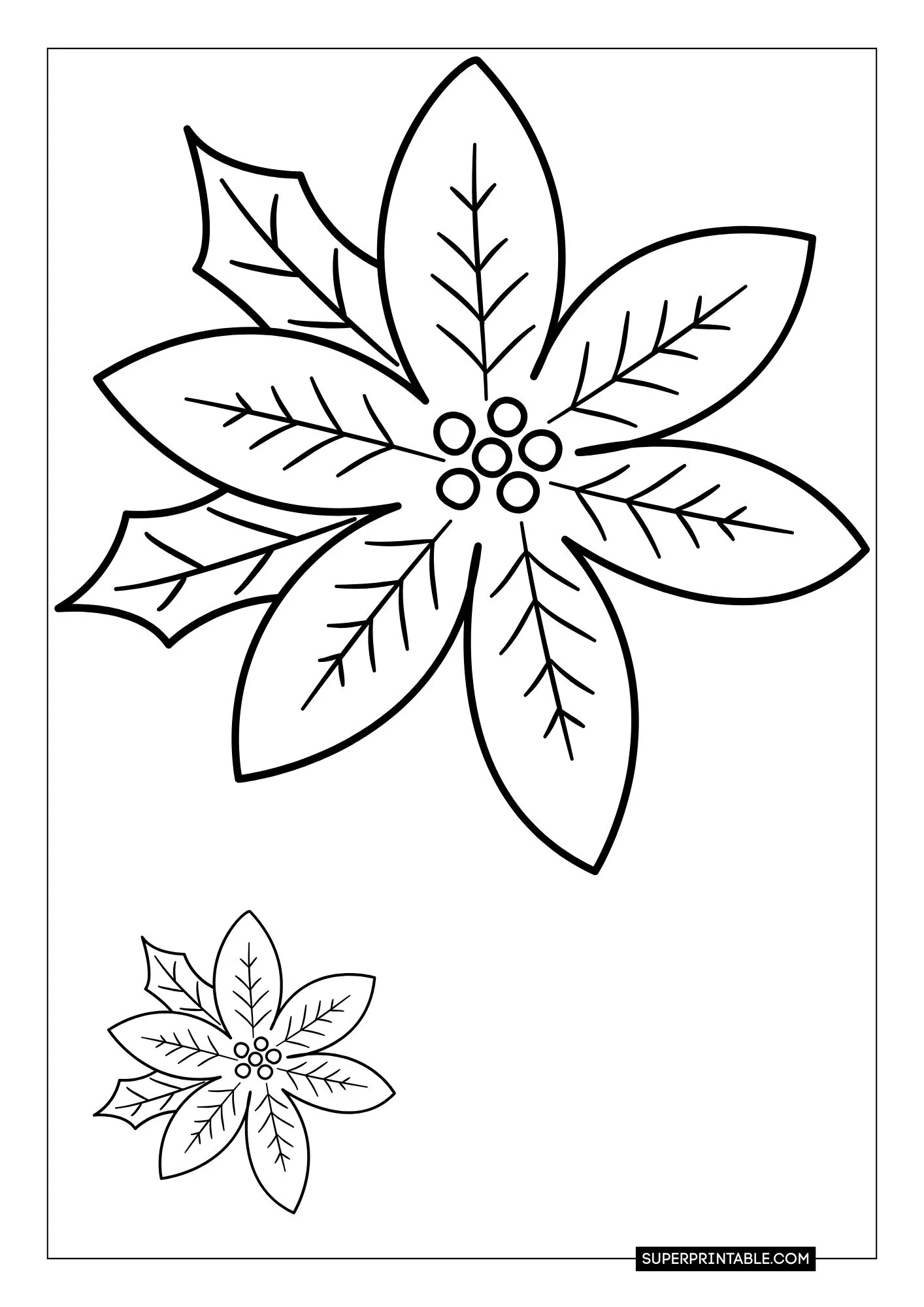 Poinsettia Coloring Pages 9