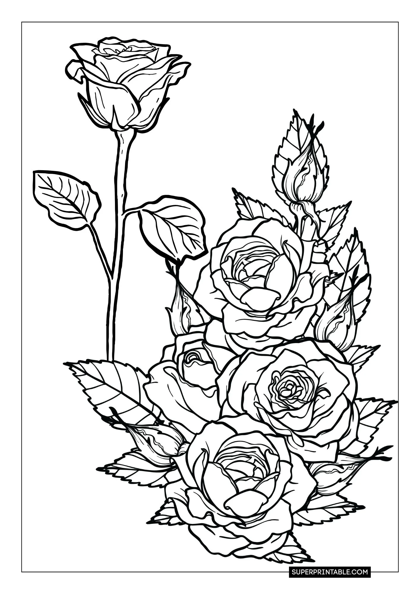 Rose Coloring Pages 1