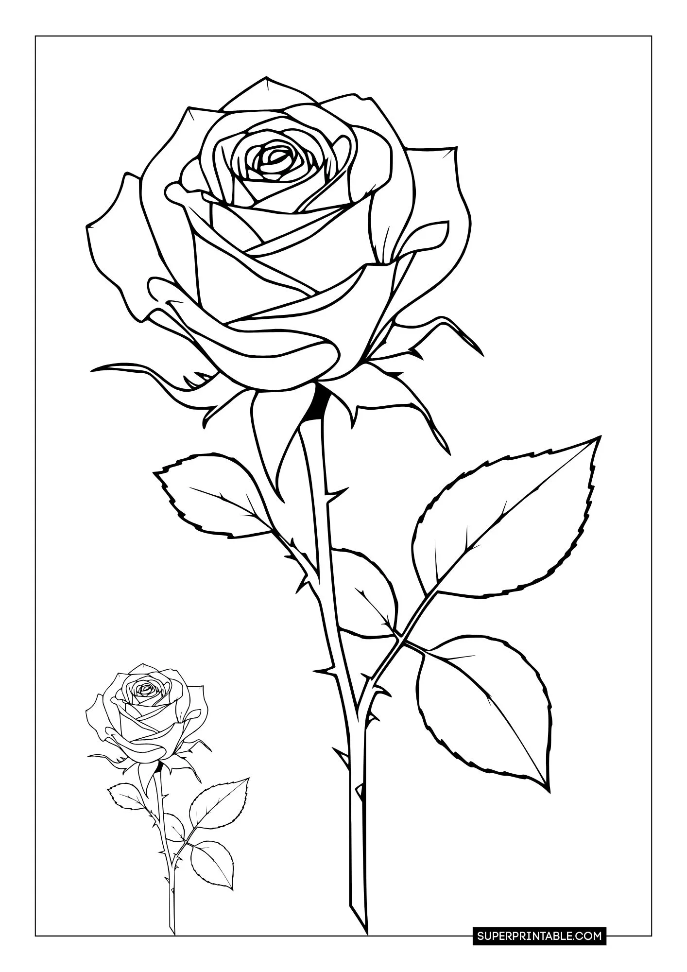 Rose Coloring Pages 9