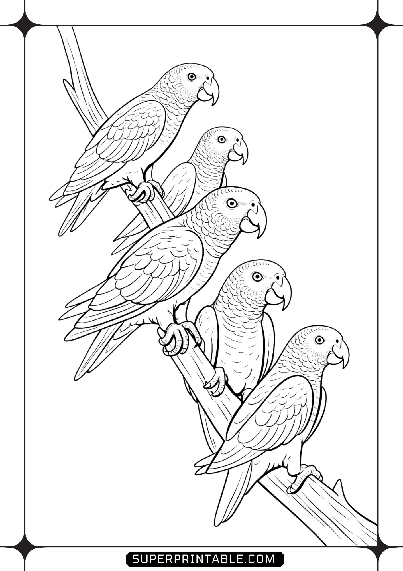 Birds On Trees Coloring Pages 1