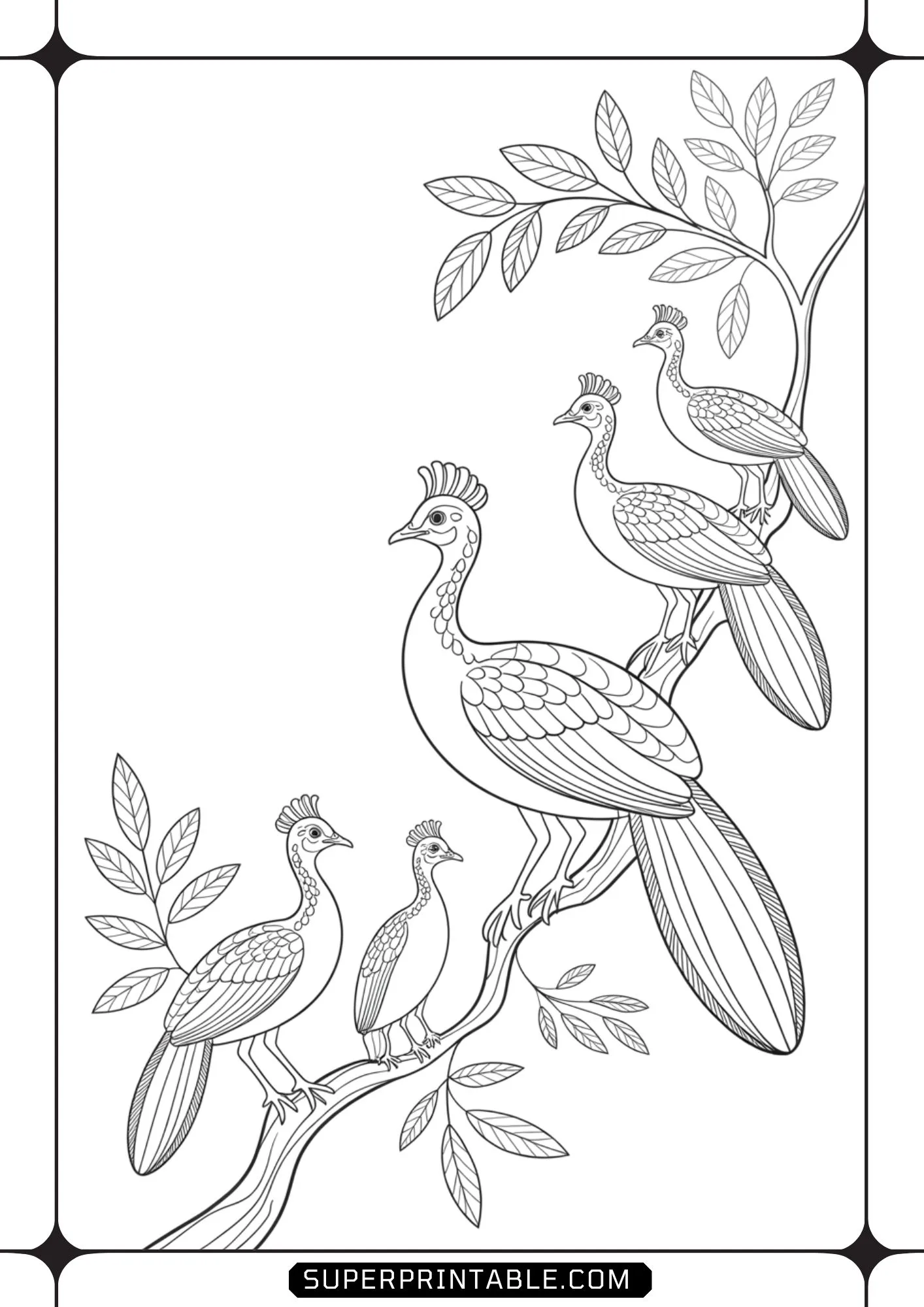 Birds On Trees Coloring Pages 4