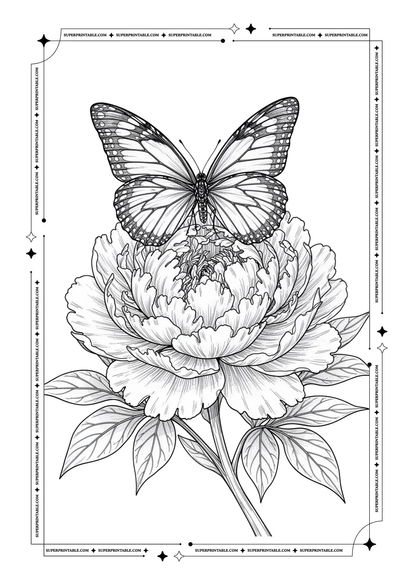 Butterfly Coloring Pages 12