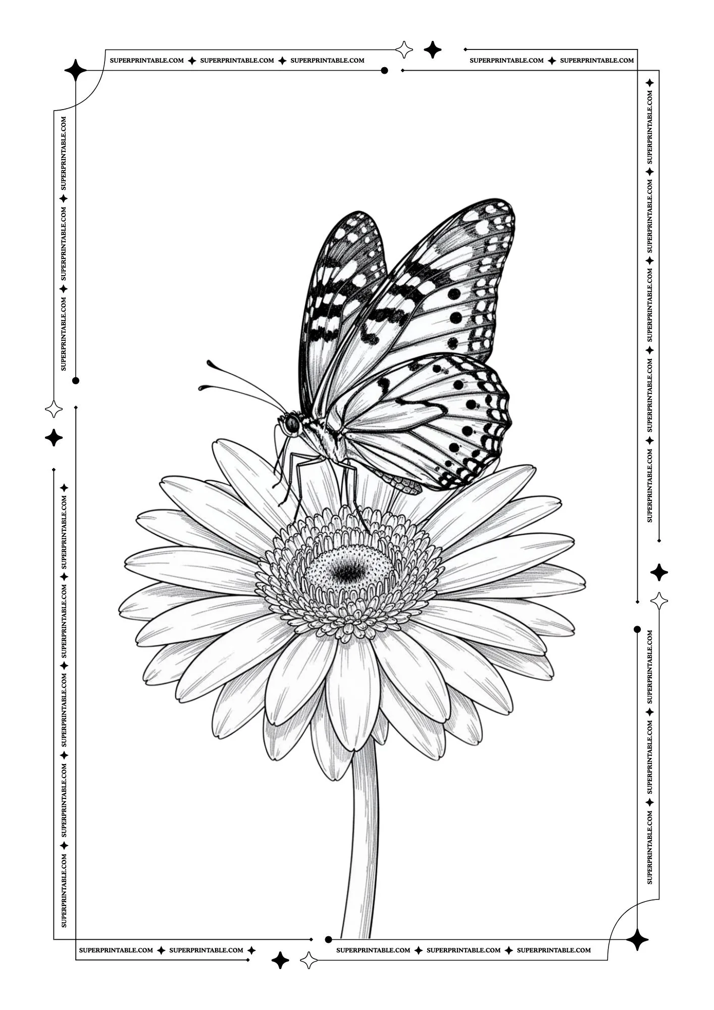 Butterfly Coloring Pages 13