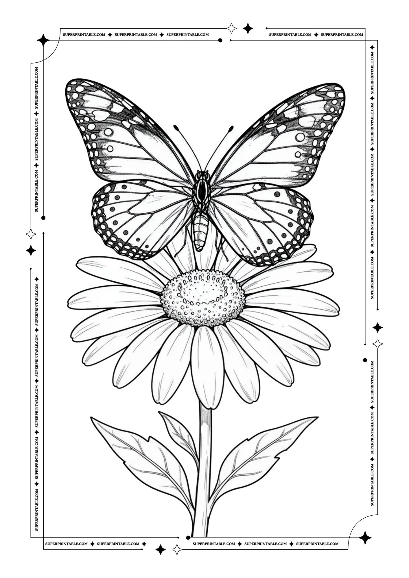 Butterfly Coloring Pages 14