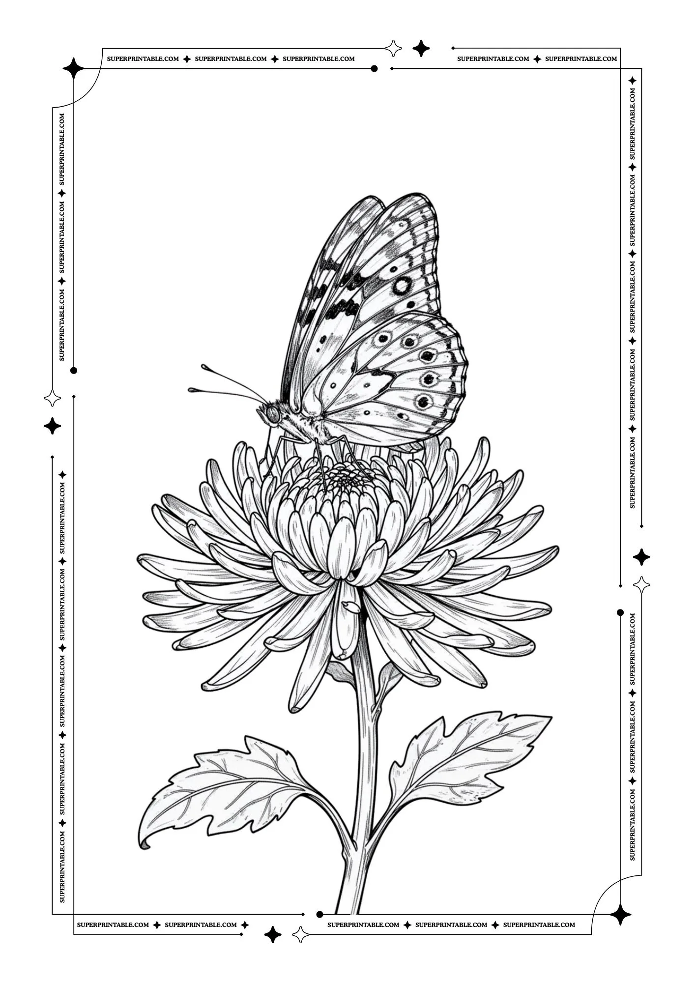 Butterfly Coloring Pages 16