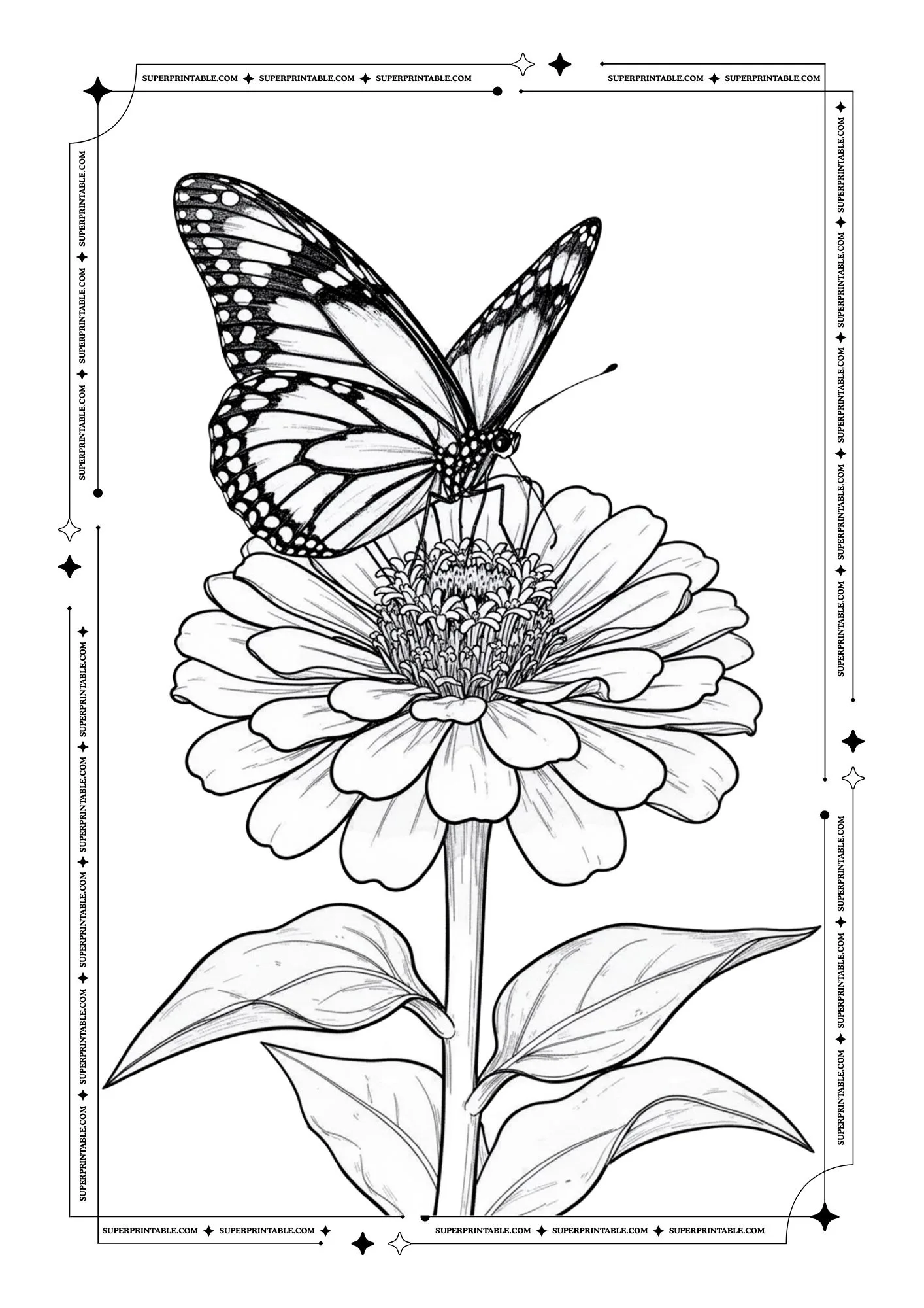 Butterfly Coloring Pages 17
