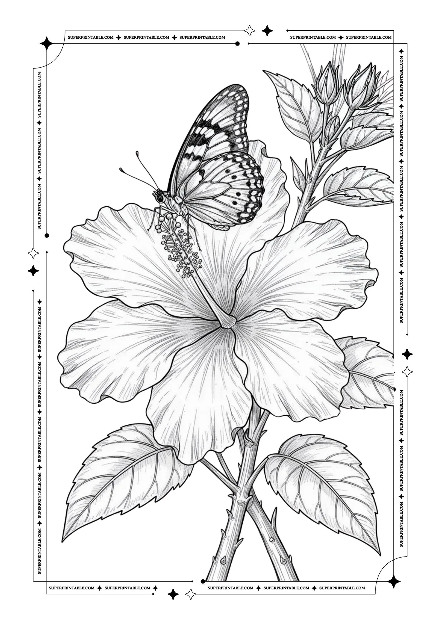Butterfly Coloring Pages 18