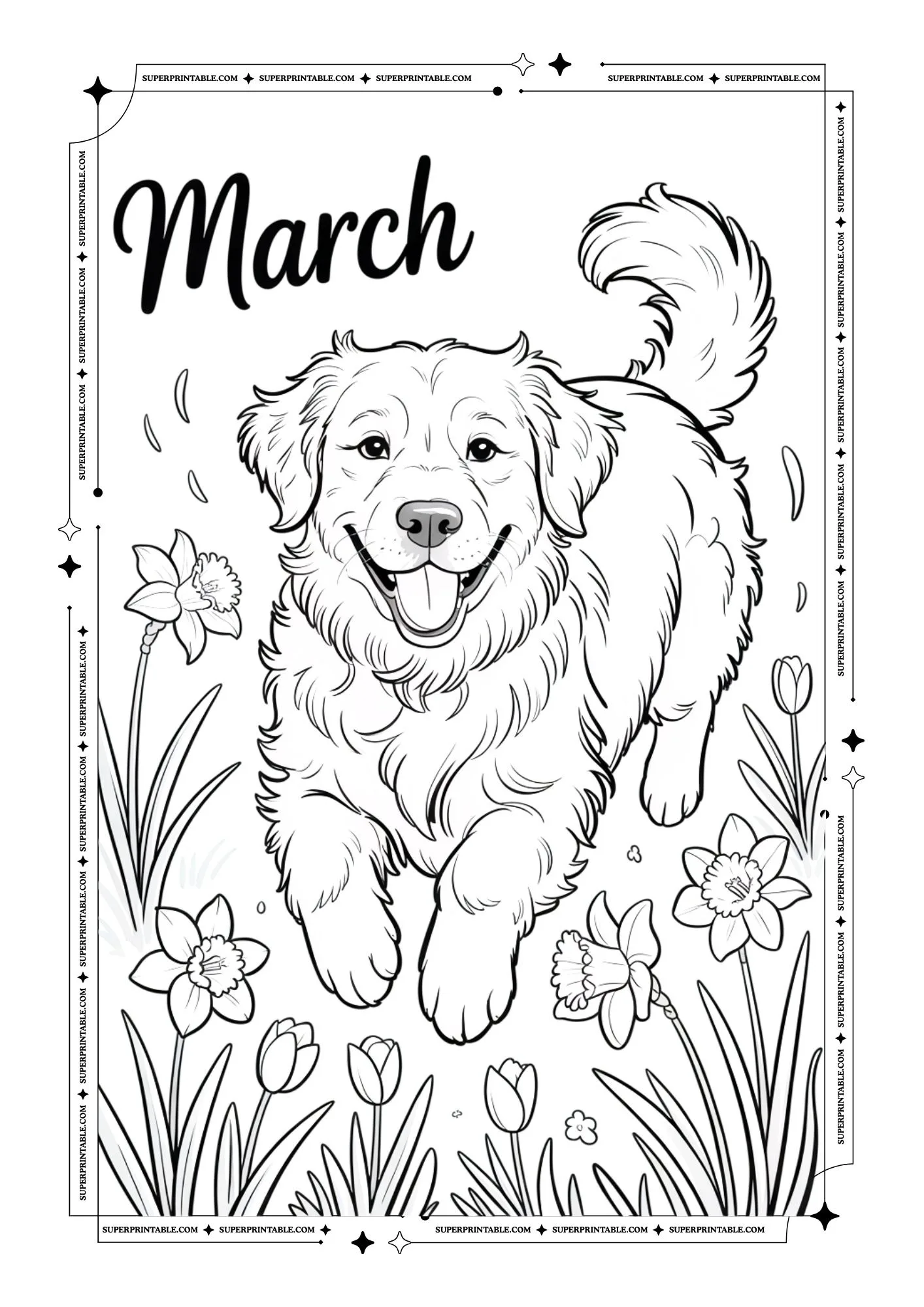 Fluffy Dogs Coloring Pages 3