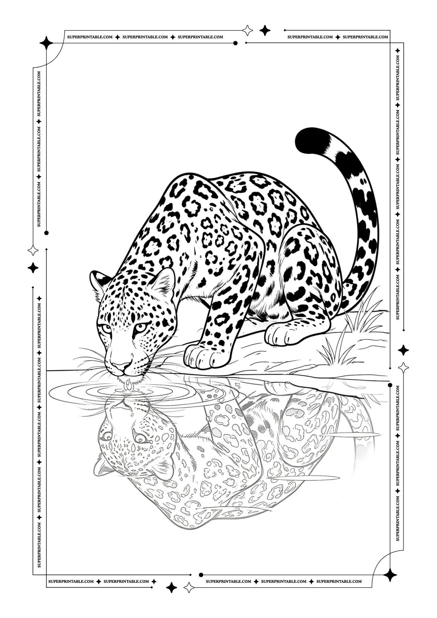 Tiger Coloring Pages 8
