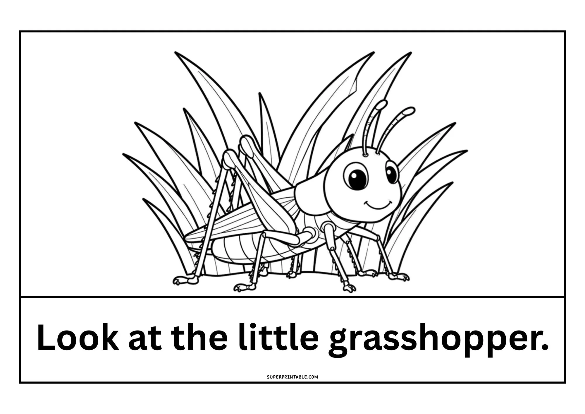 Spring Early Reader Sight Word Cards for Preschool Kids 3
