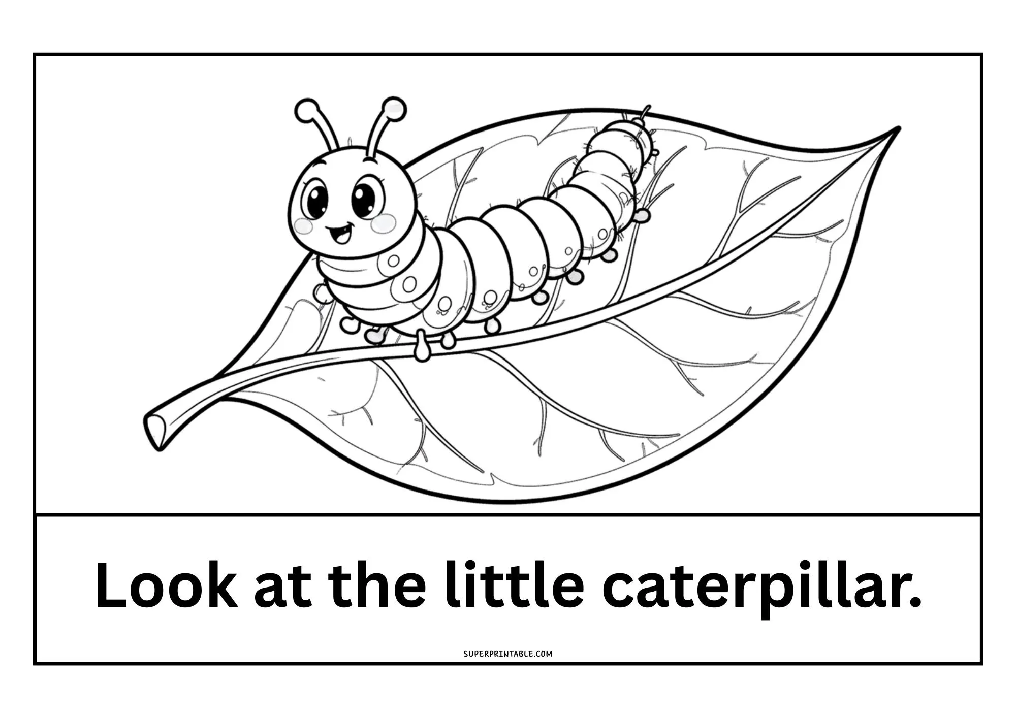 Spring Early Reader Sight Word Cards for Preschool Kids 4