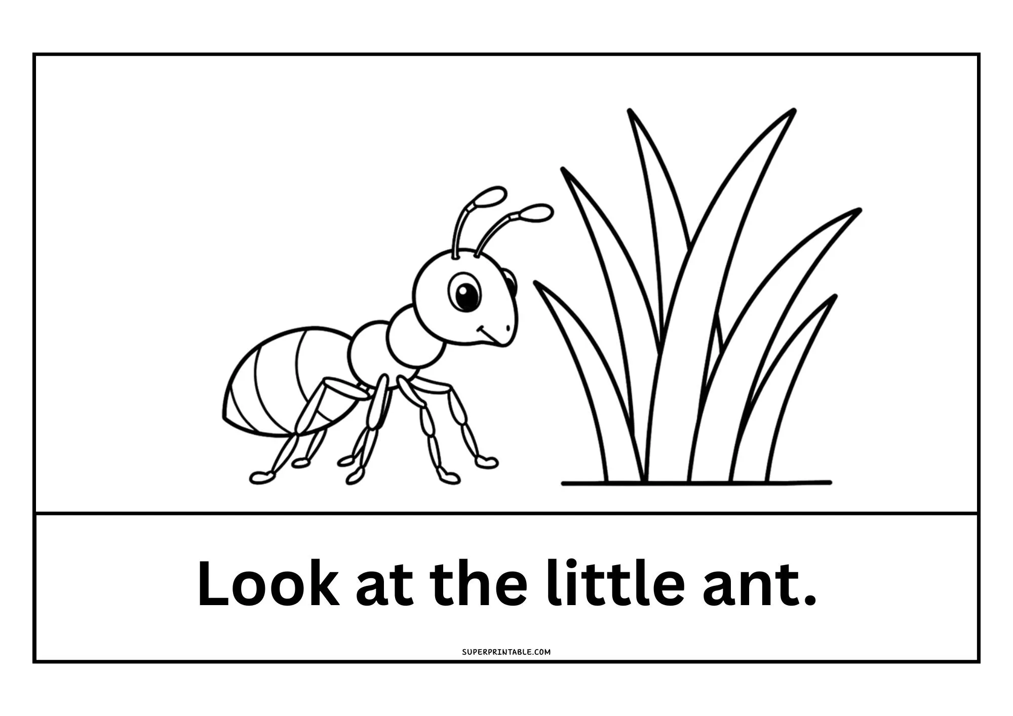 Spring Early Reader Sight Word Cards for Preschool Kids 5