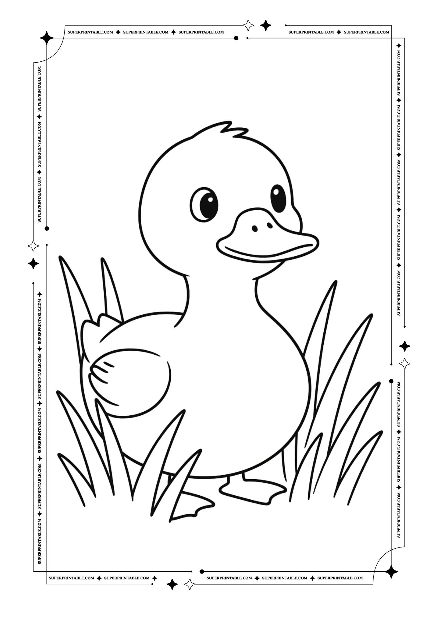 Duck Coloring Pages 3