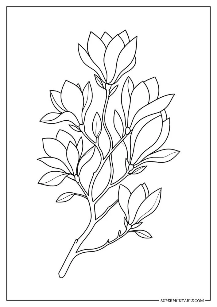 Spring Garden Escape Coloring Pages 1