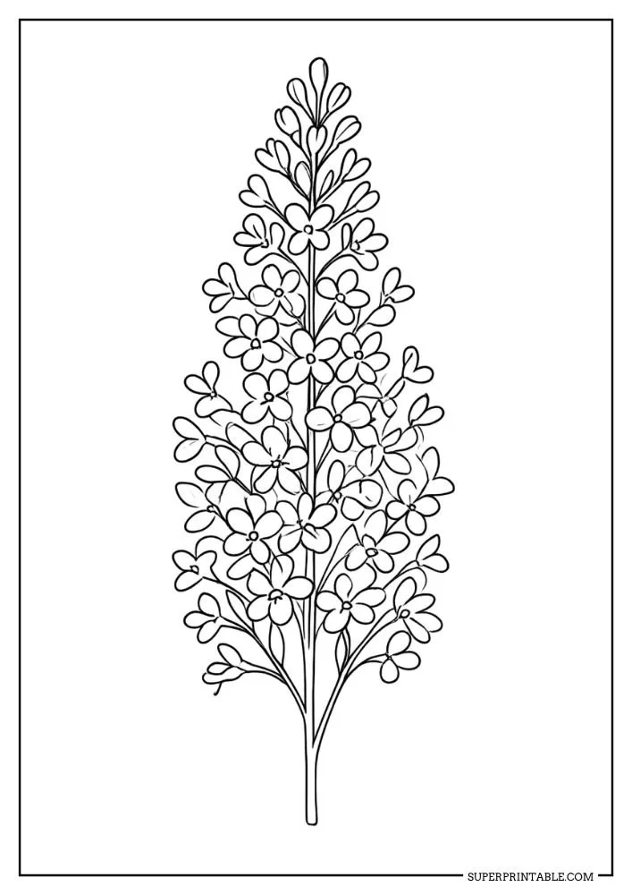 Spring Garden Escape Coloring Pages 3